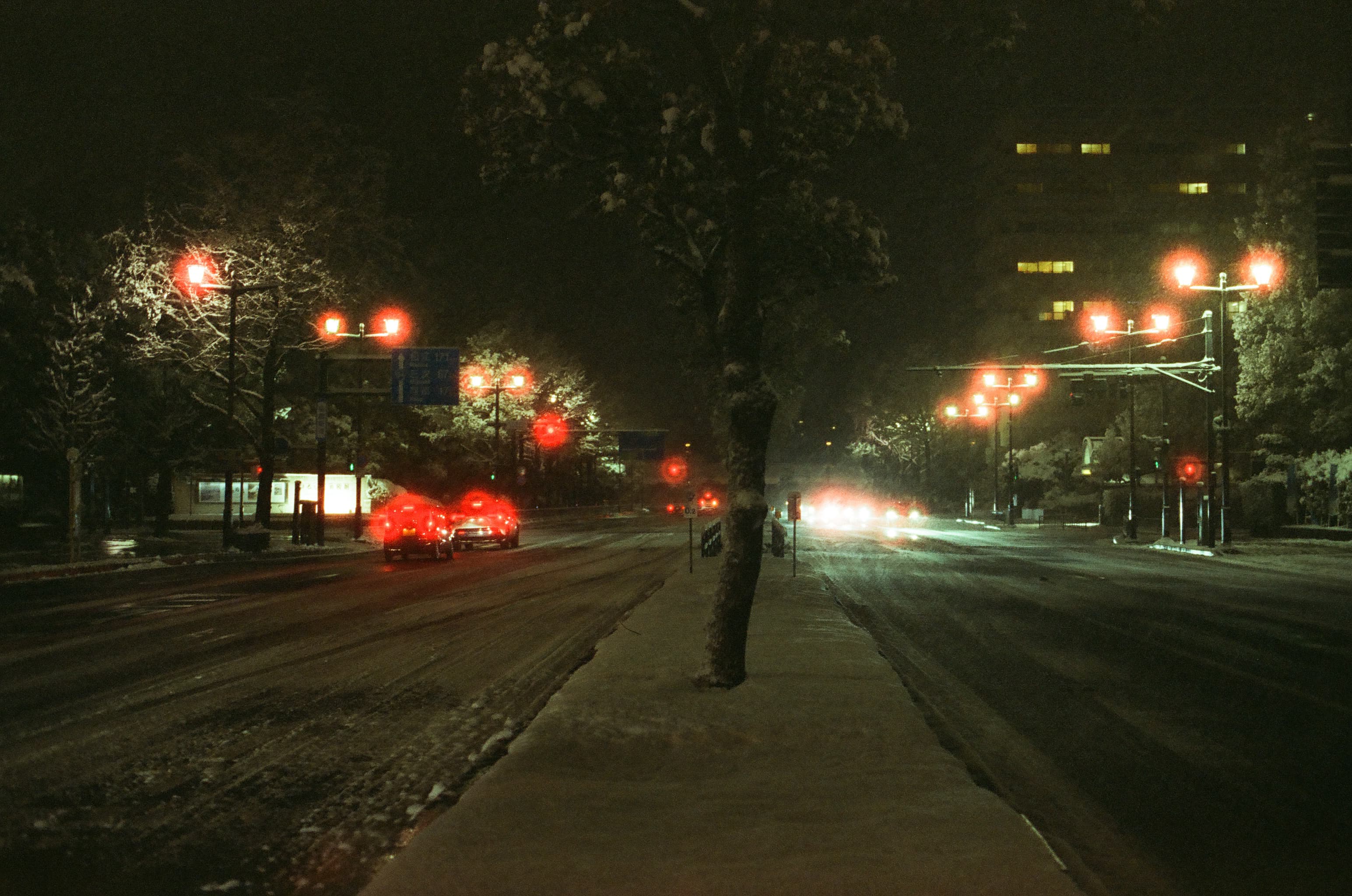 Candido 400 / Canon A-1