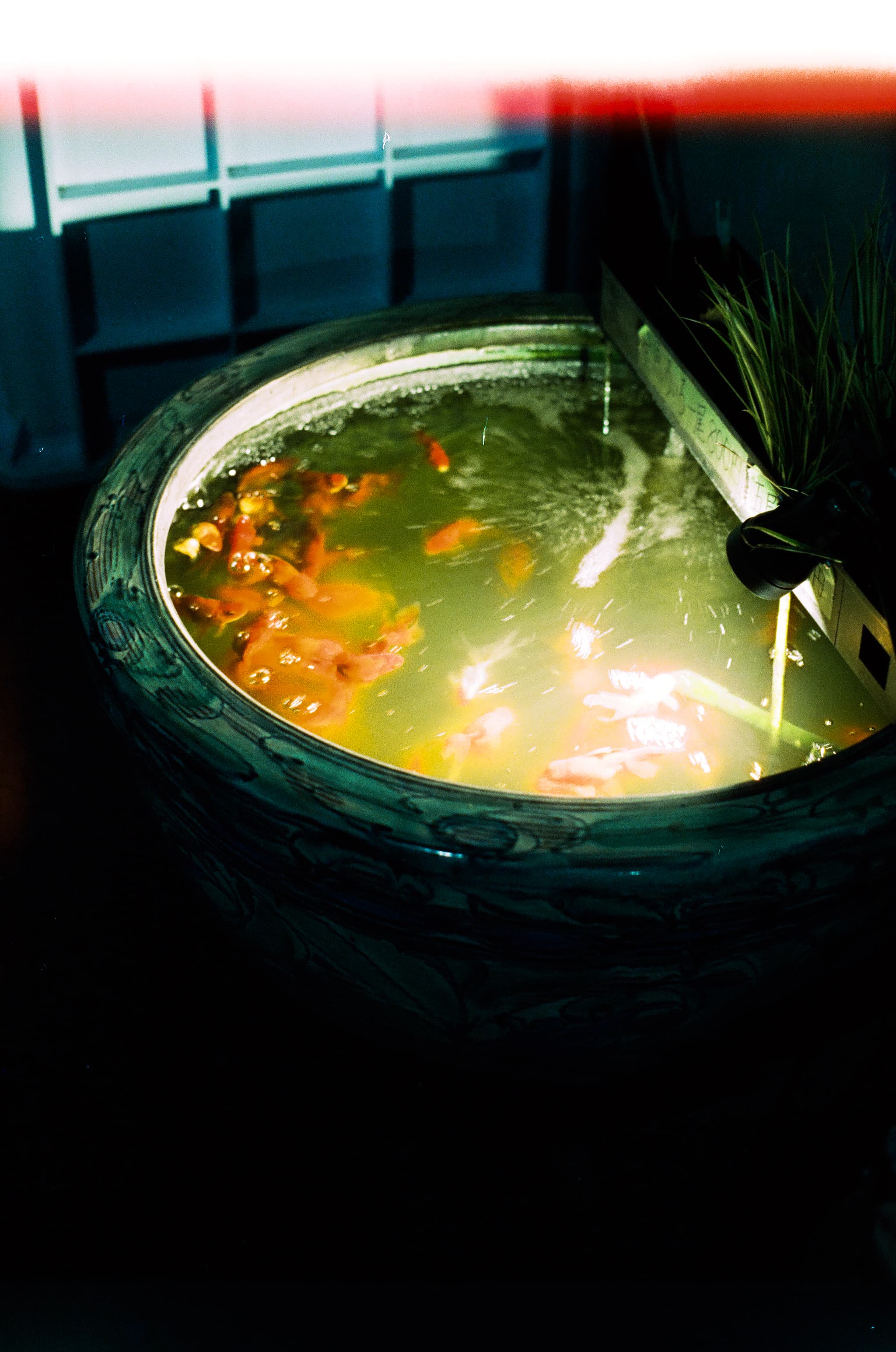 Reflx Lab 800 / Canon A-1