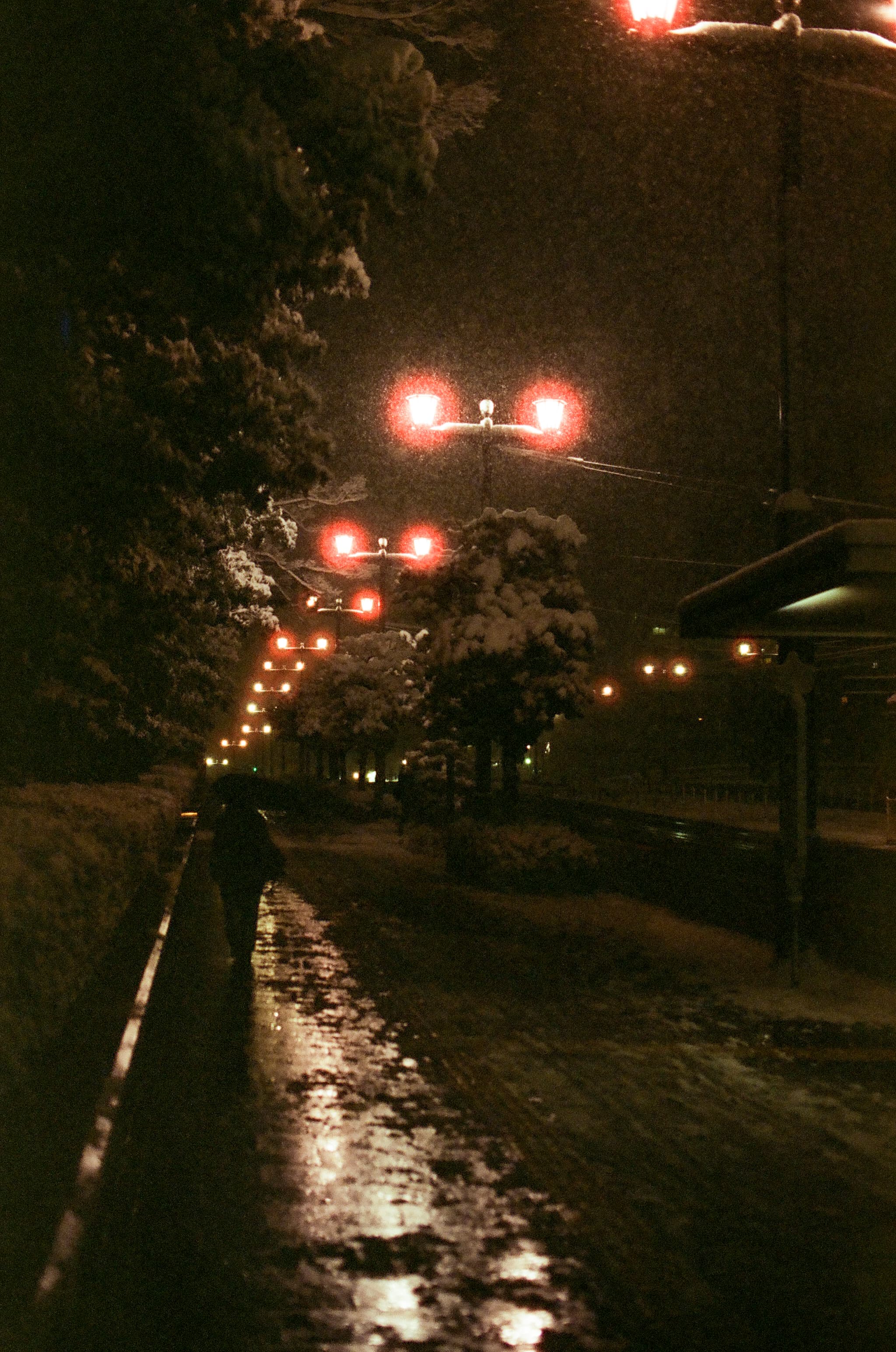 Candido 400 / Canon A-1