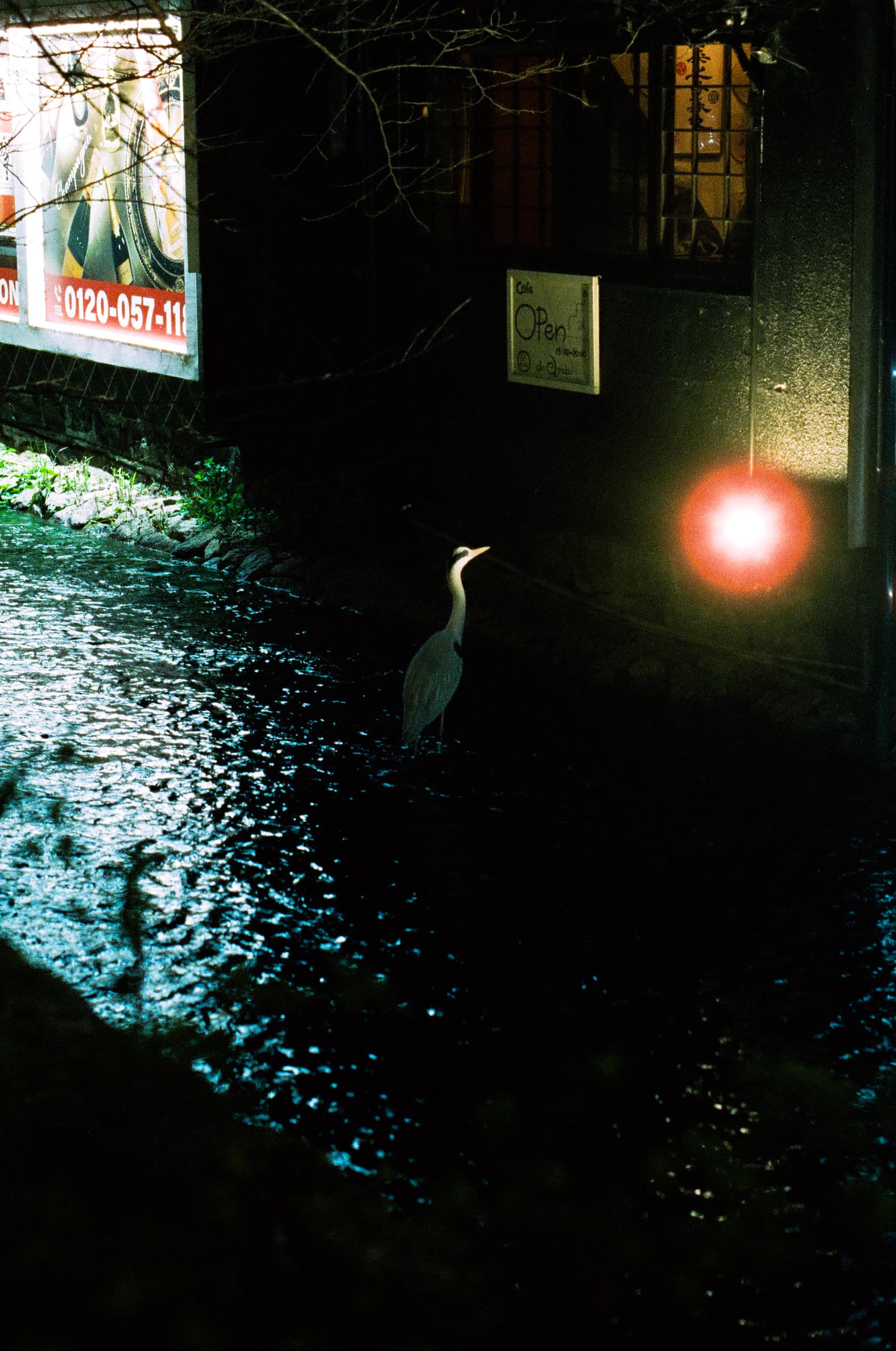 Reflx Lab 800 / Canon A-1