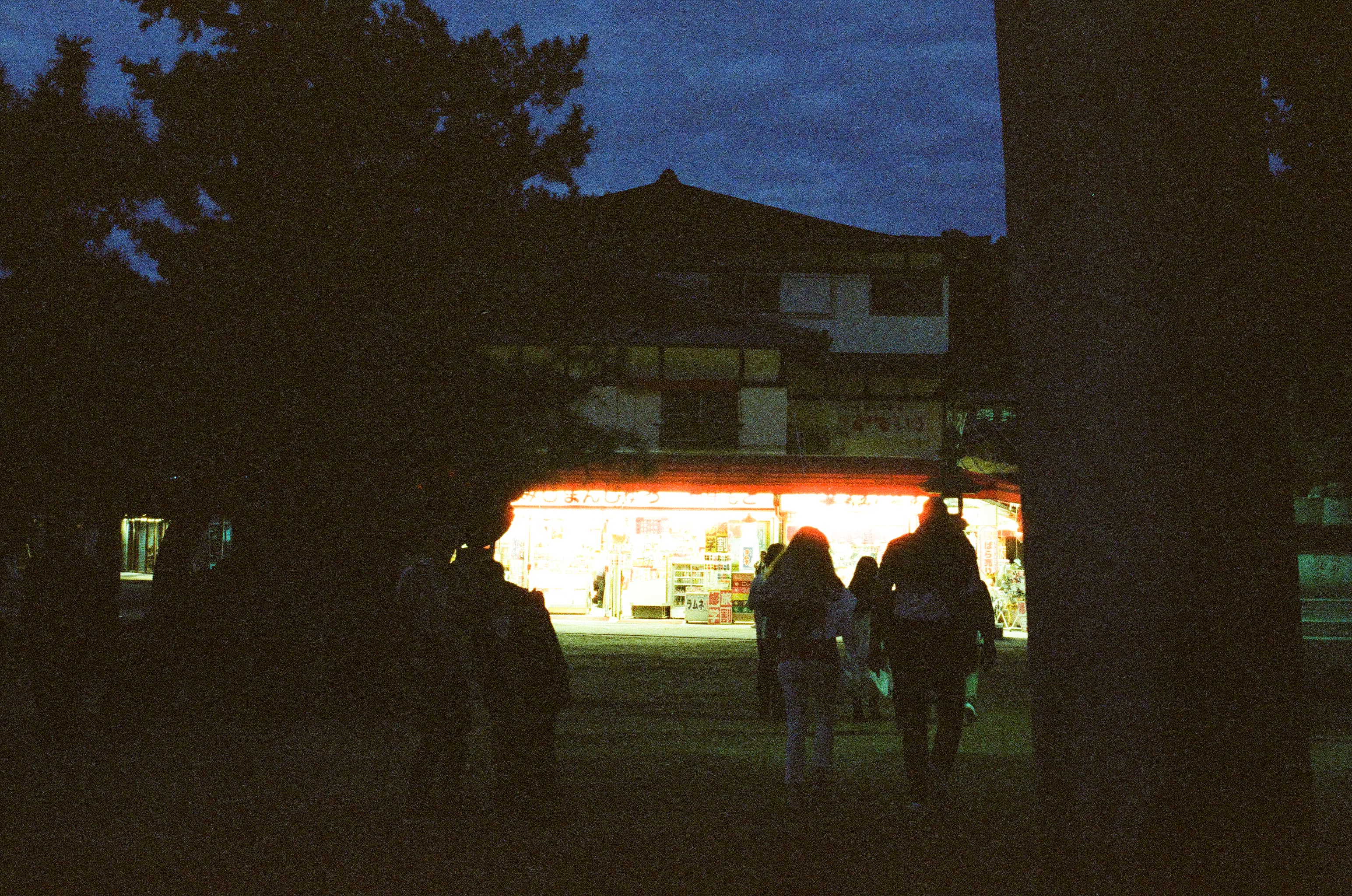 Cinestill 800T / Canon A-1