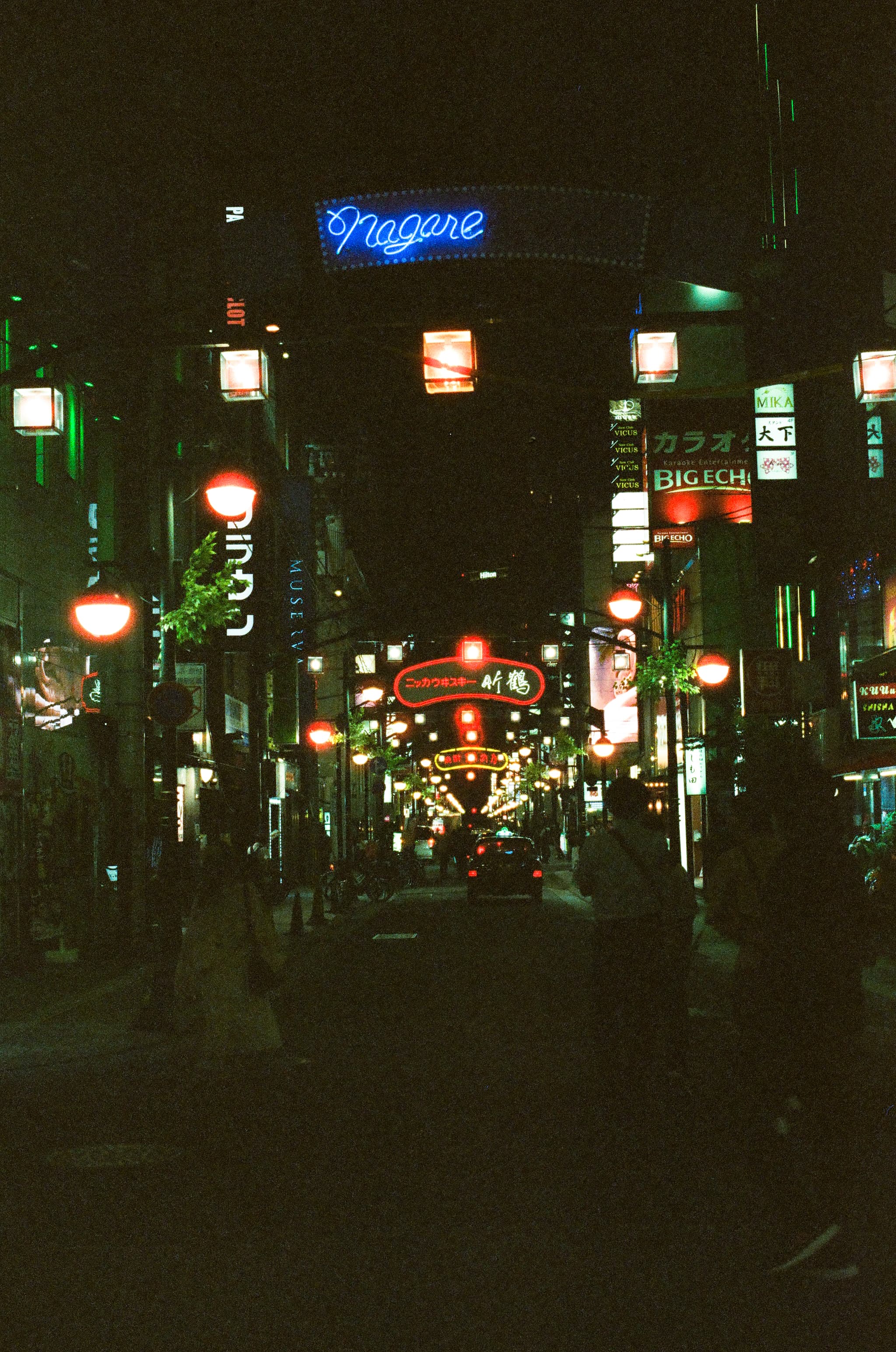 FilmNeverDie UMI 800 / Canon A-1