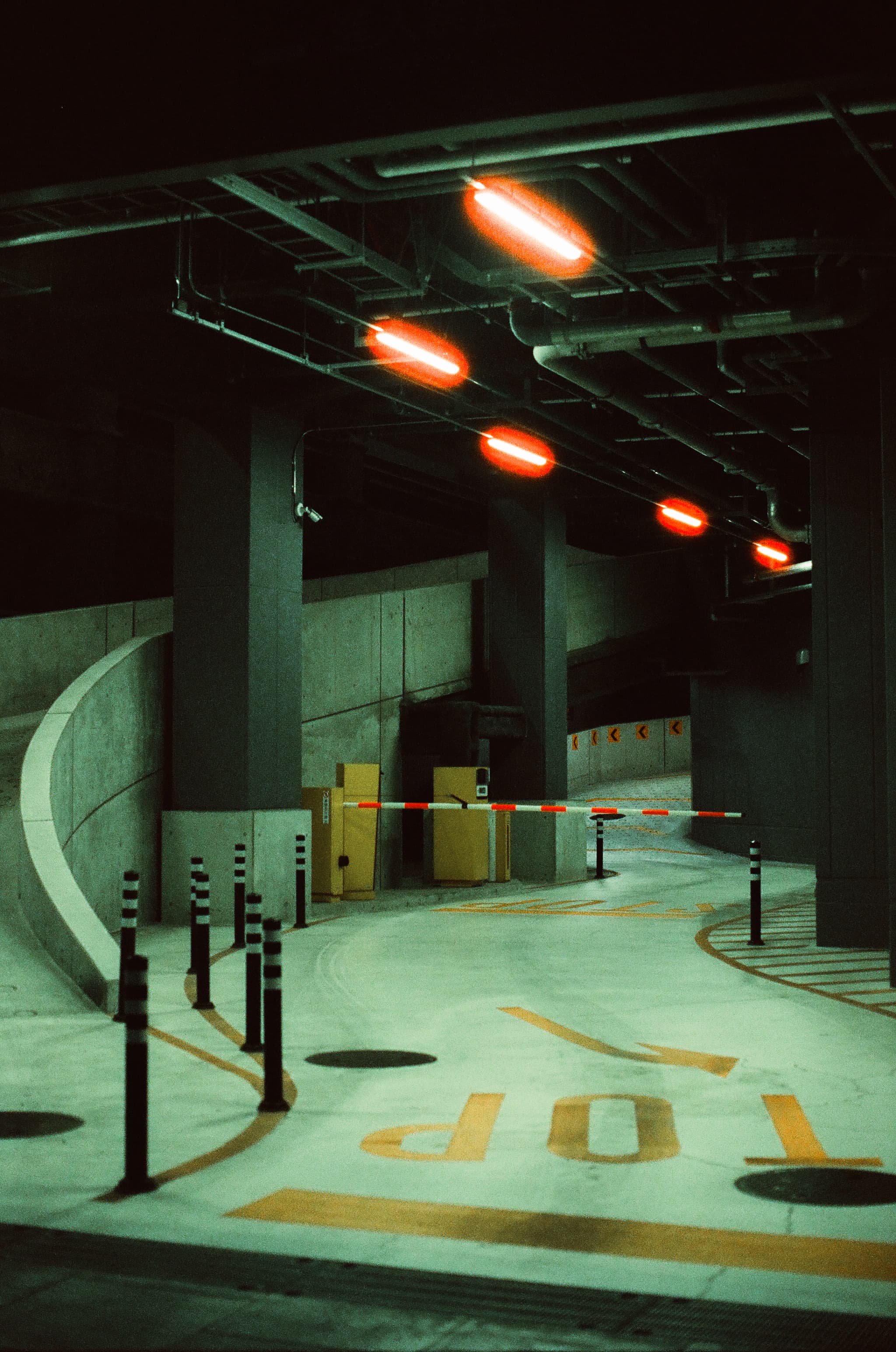 Cinestill 800T / Canon A-1