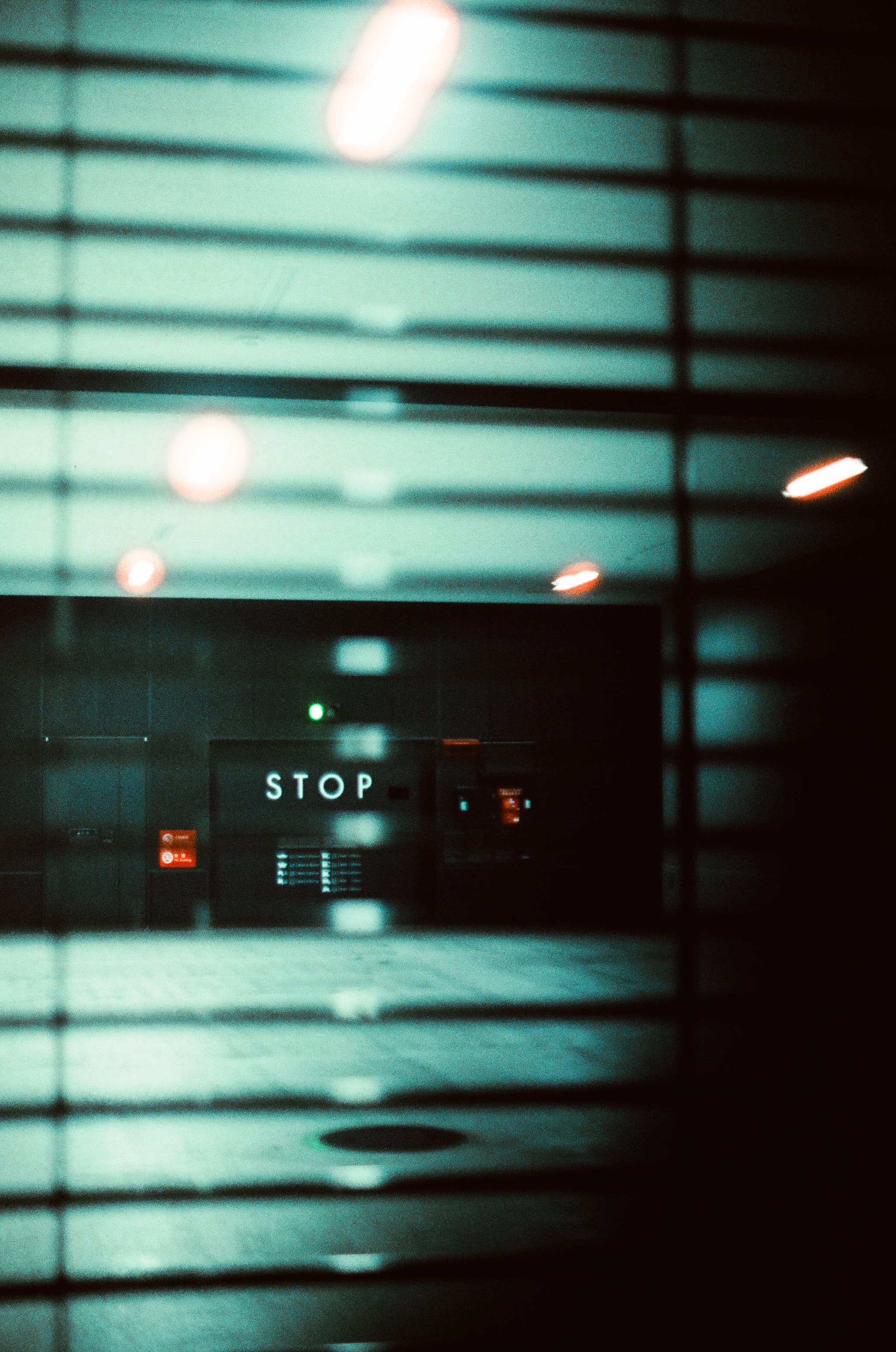 Cinestill 800T / Canon A-1