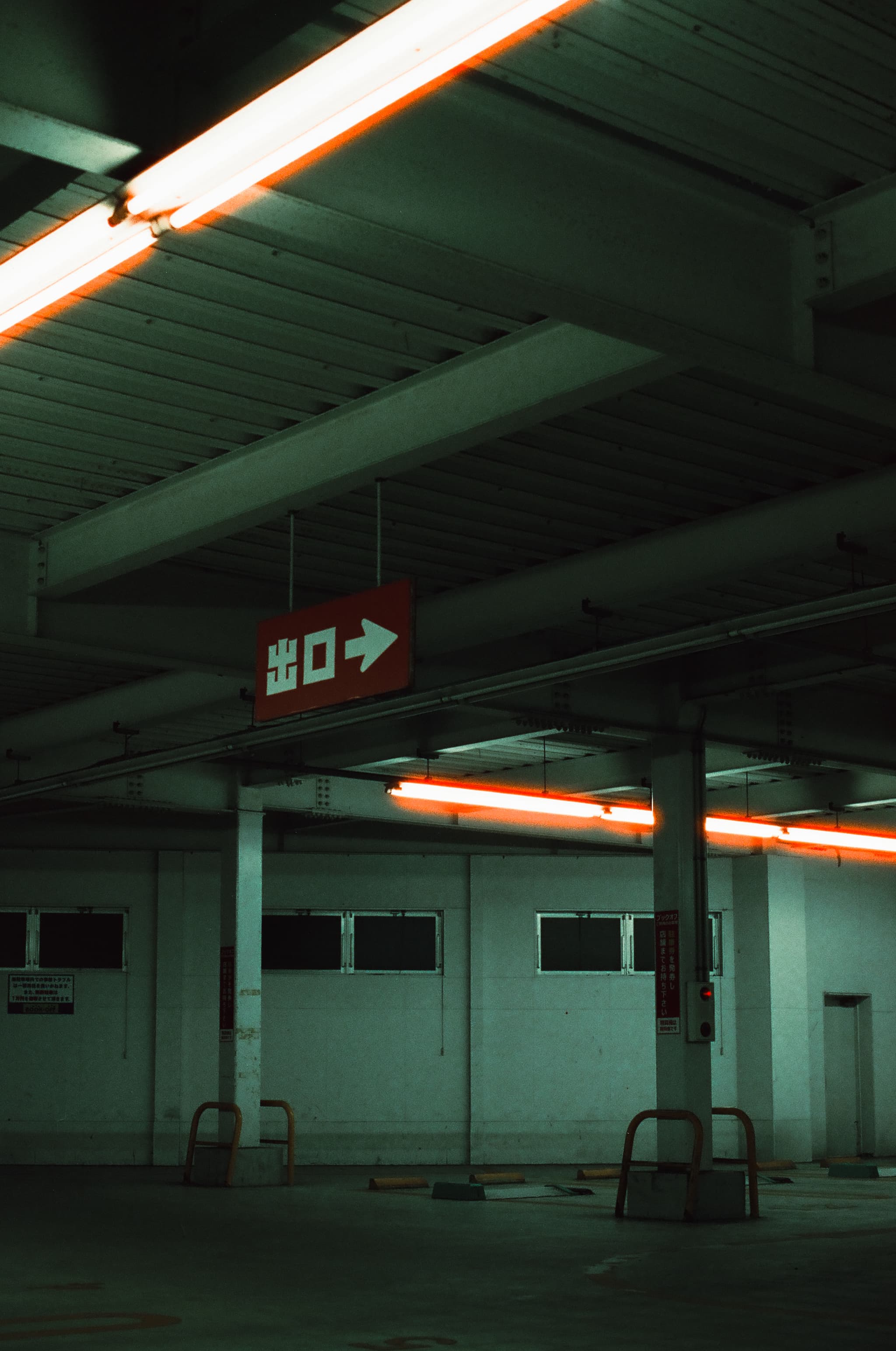 Cinestill 800T / Canon A-1