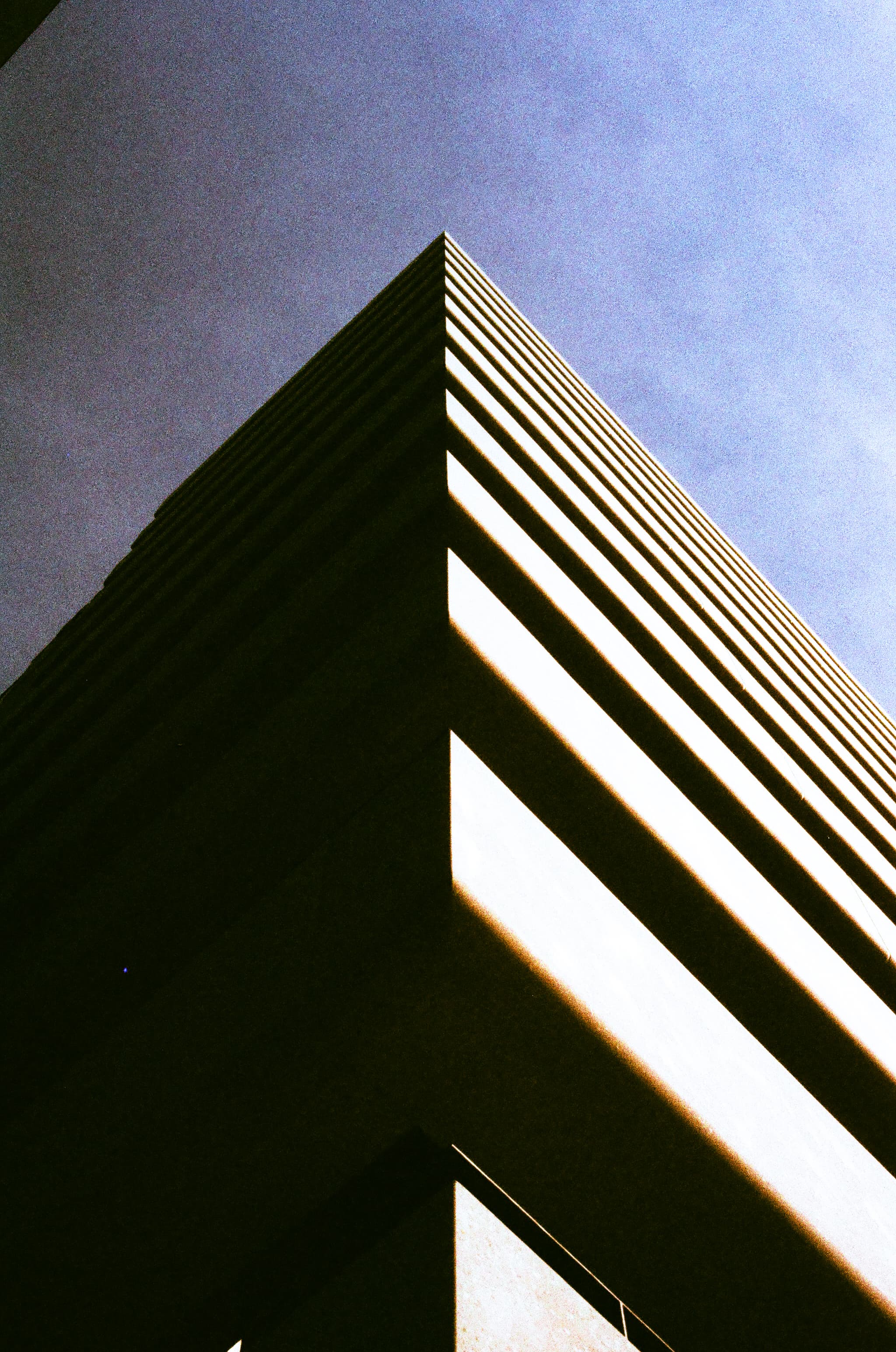 HARMAN PHOENIX 200 / Canon A-1
