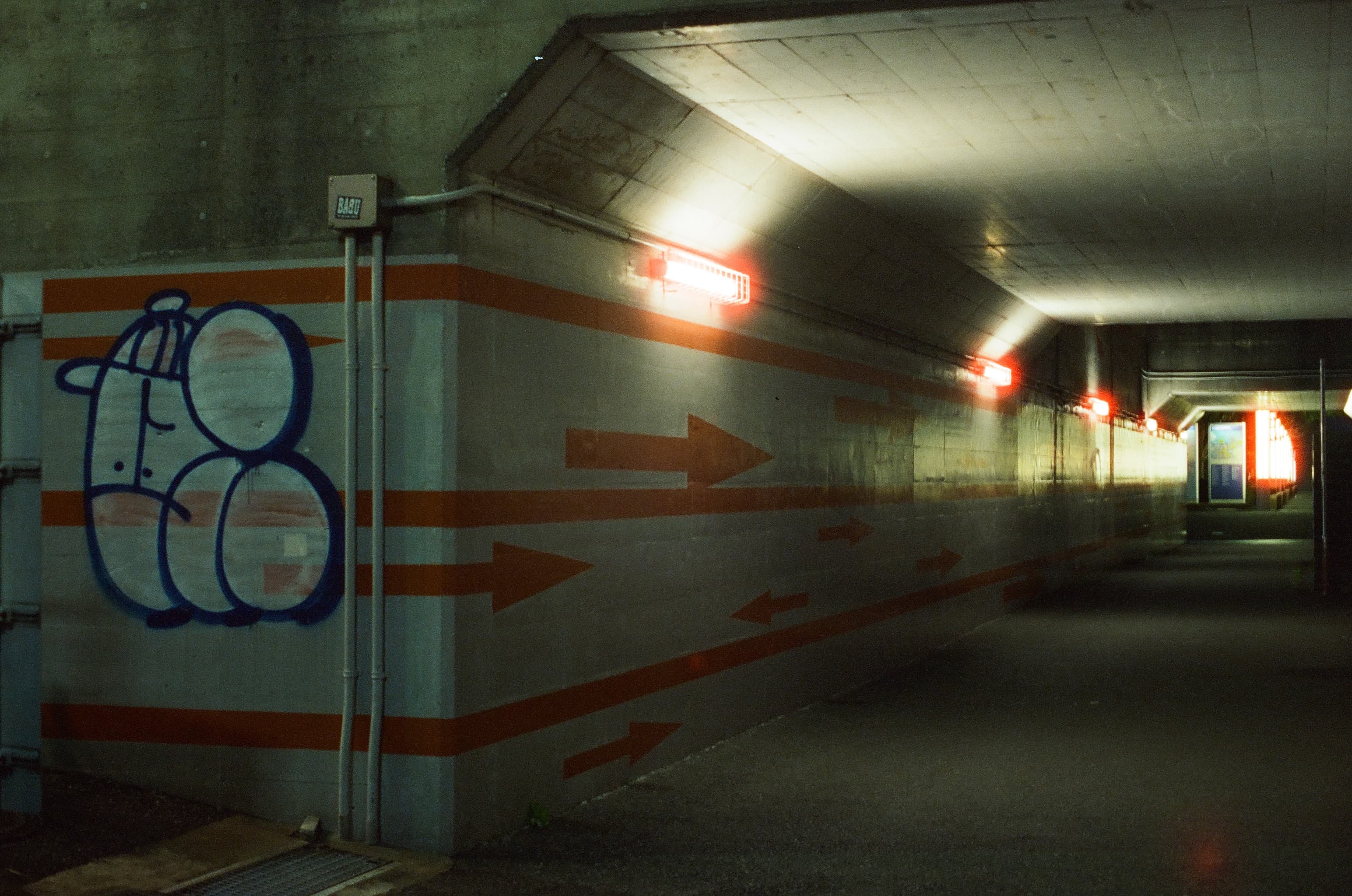 Candido 800 / Canon A-1