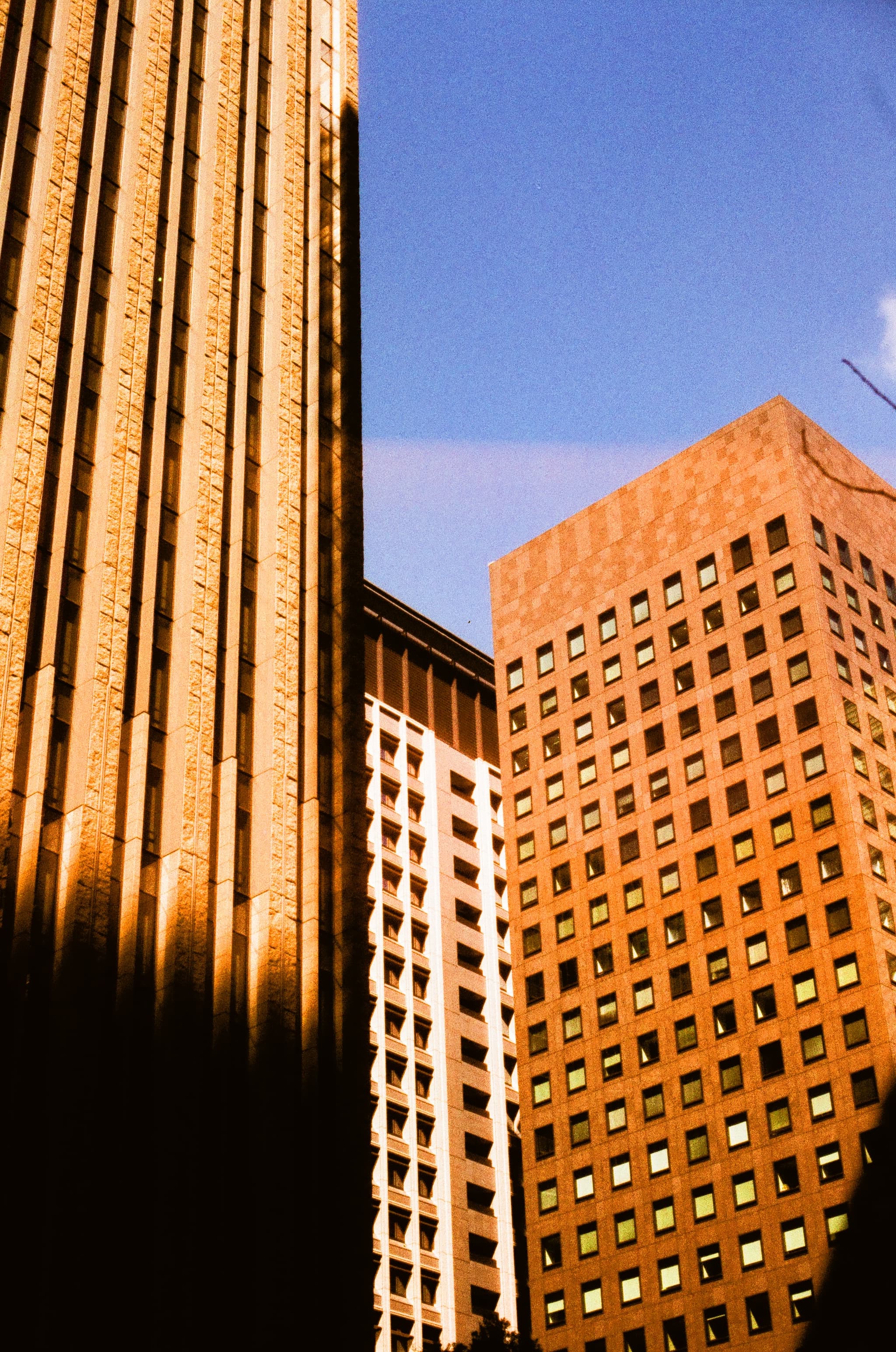 HARMAN PHOENIX 200 / Canon A-1