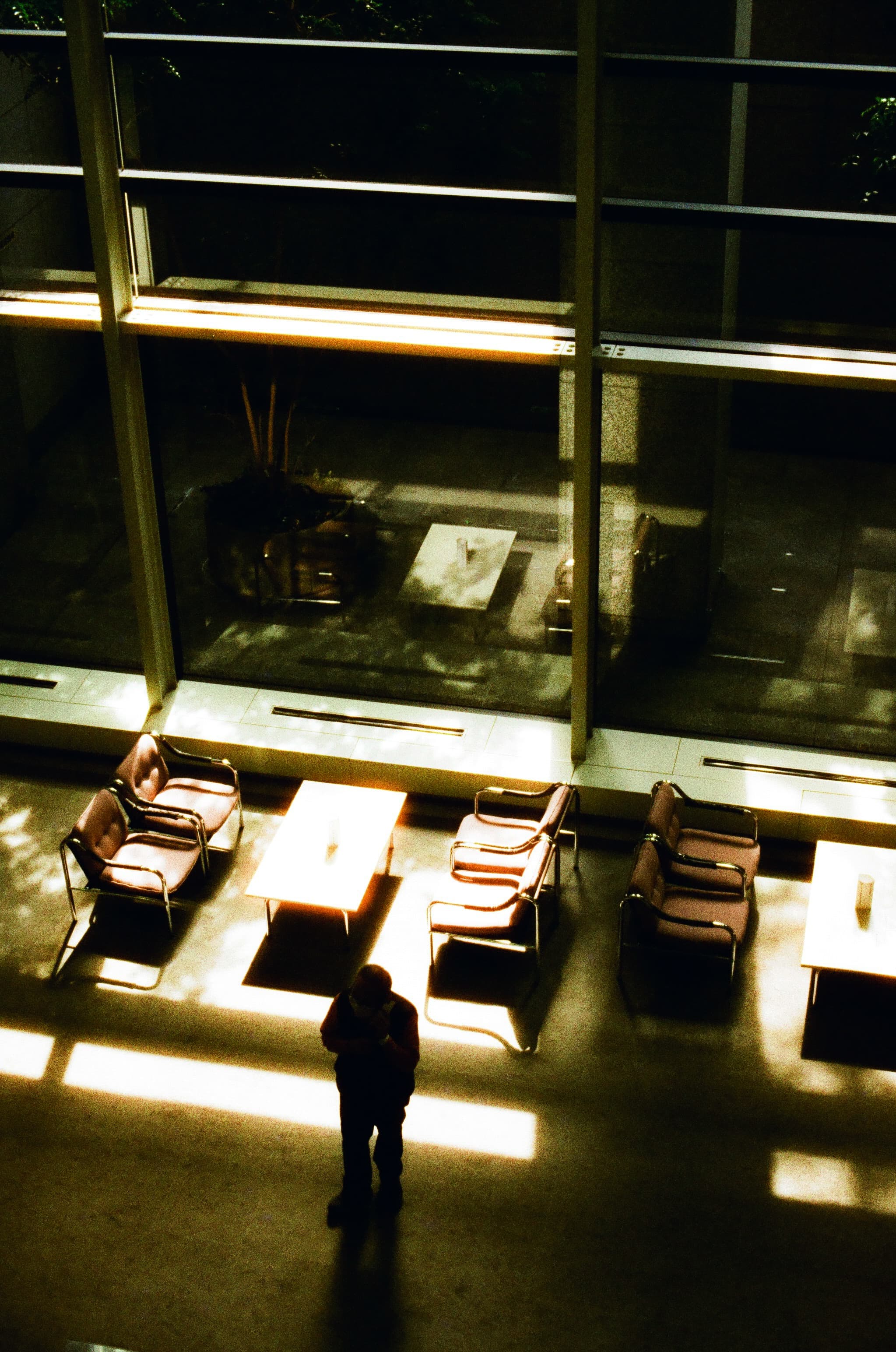 HARMAN PHOENIX 200 / Canon A-1