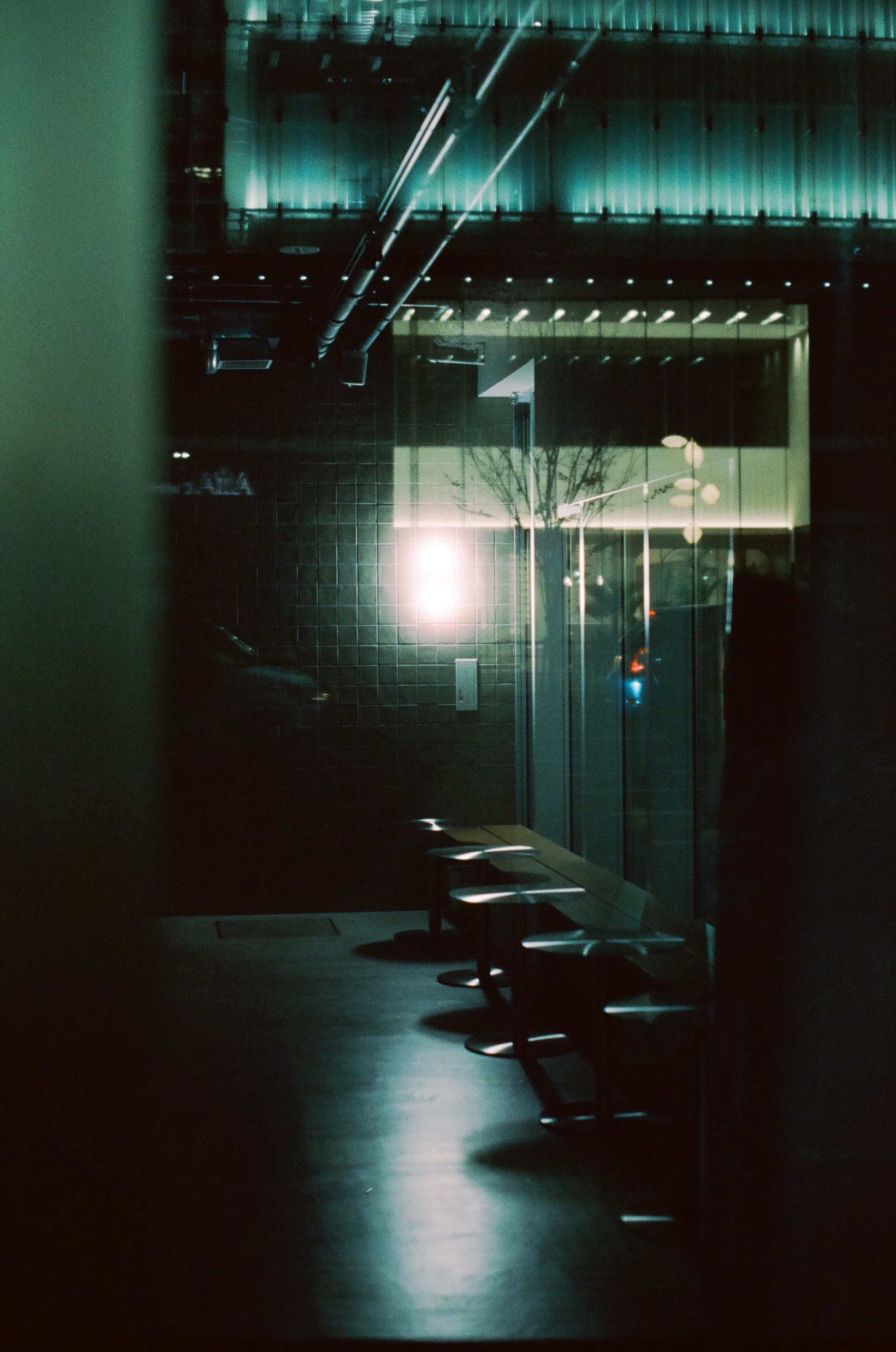 Cinestill 800T / Canon A-1