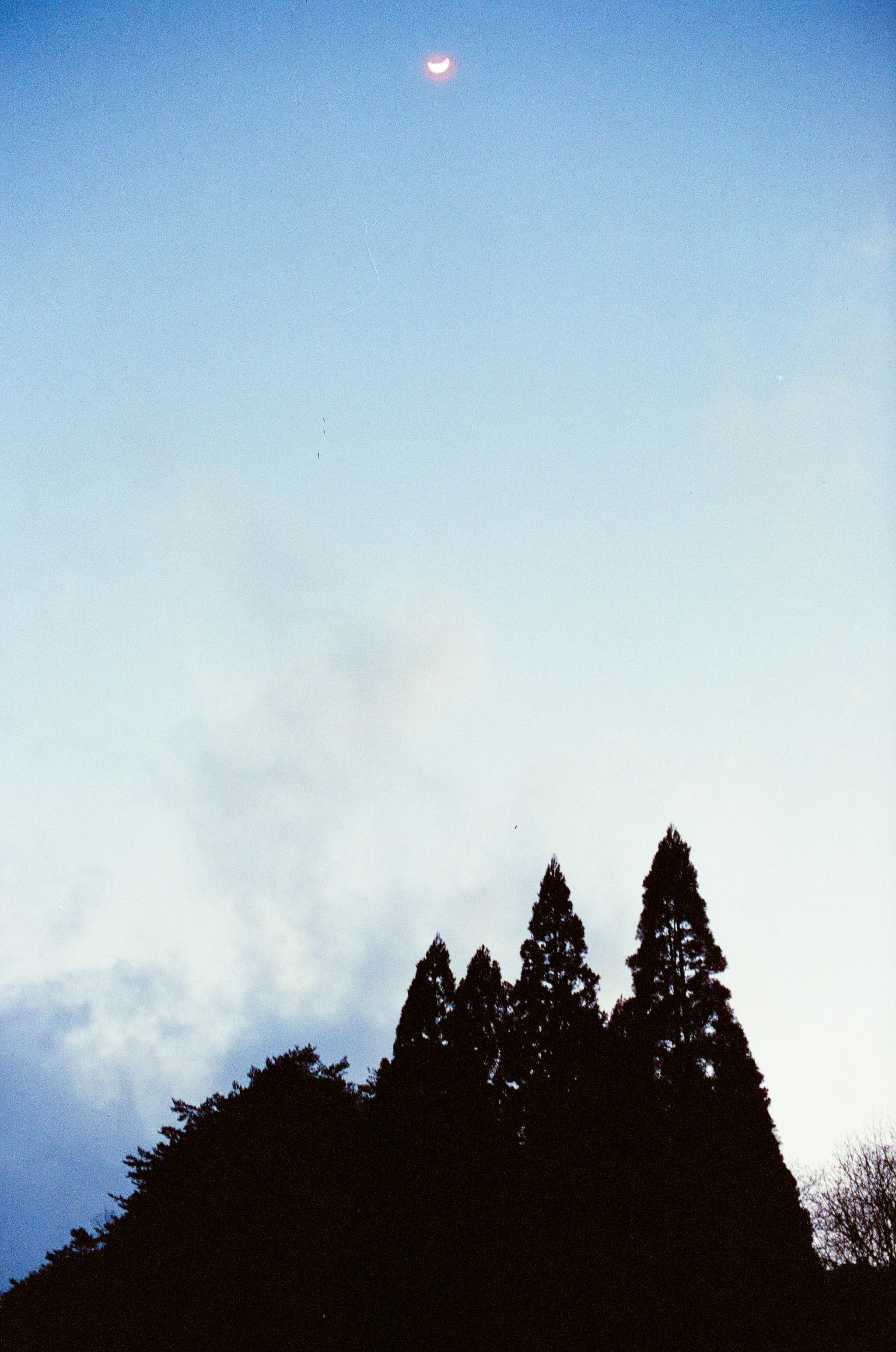 FilmNeverDie UMI 800 / Canon A-1