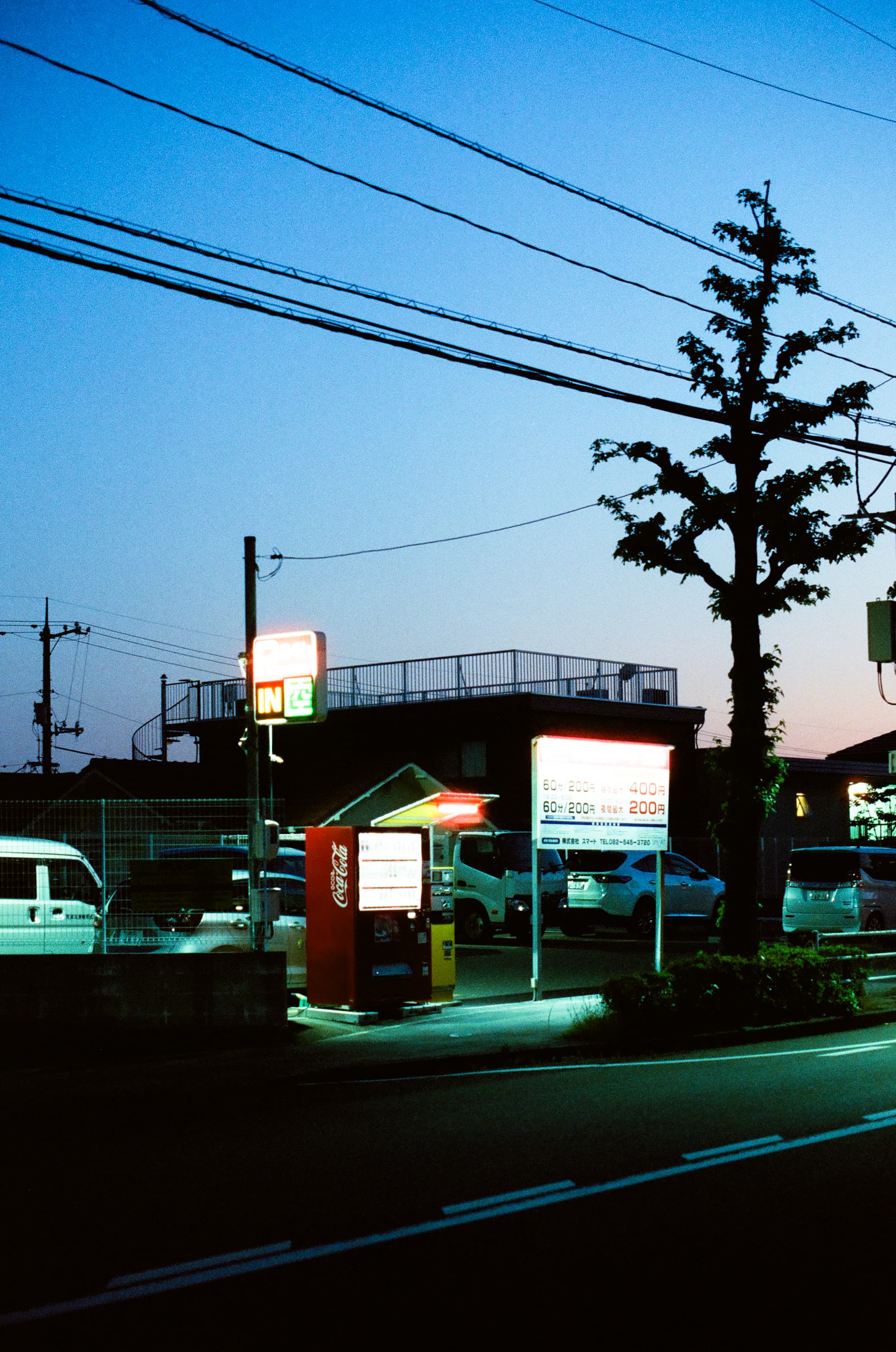 Cinestill 800T / Canon A-1