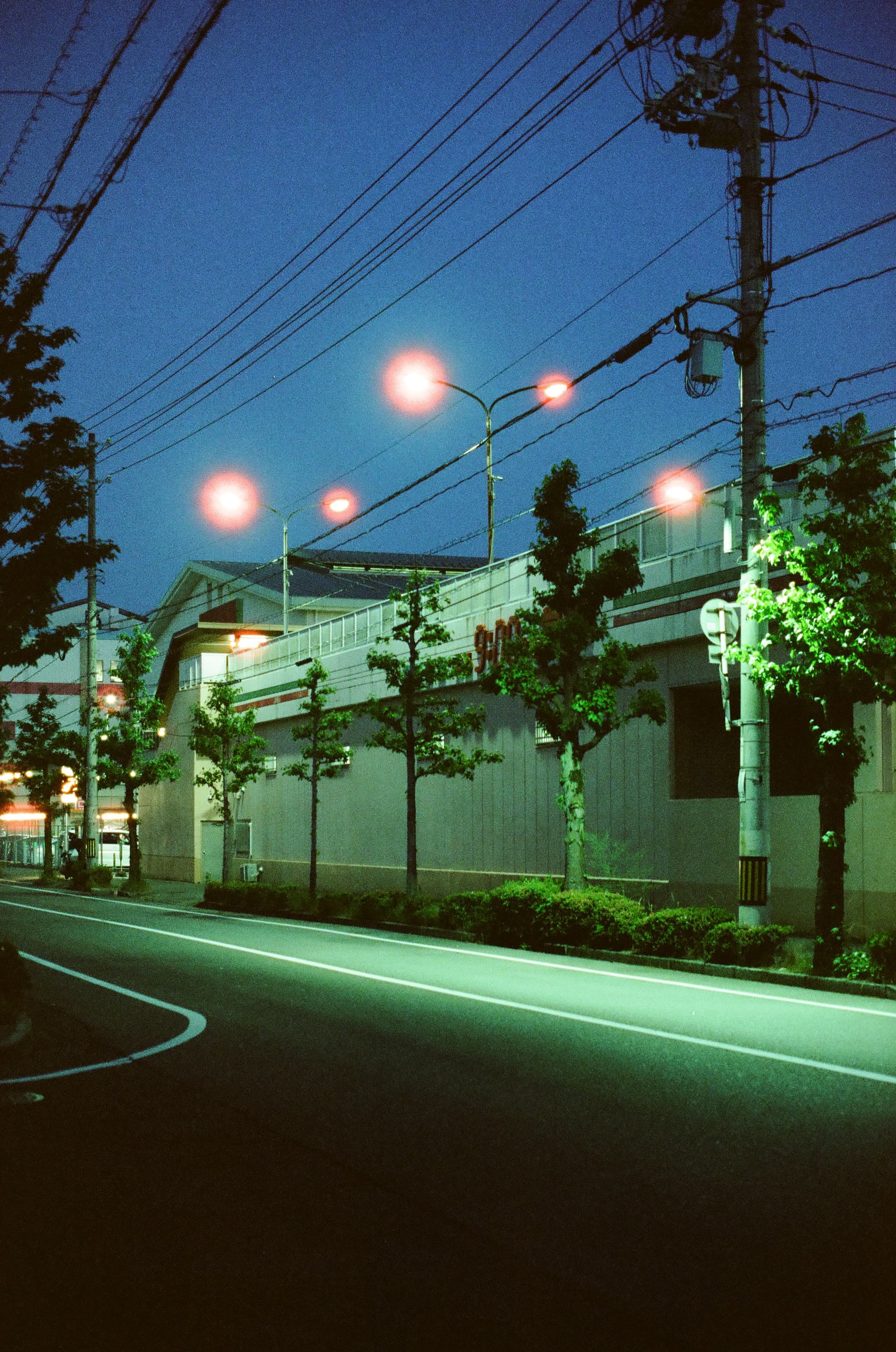 Cinestill 800T / Canon A-1
