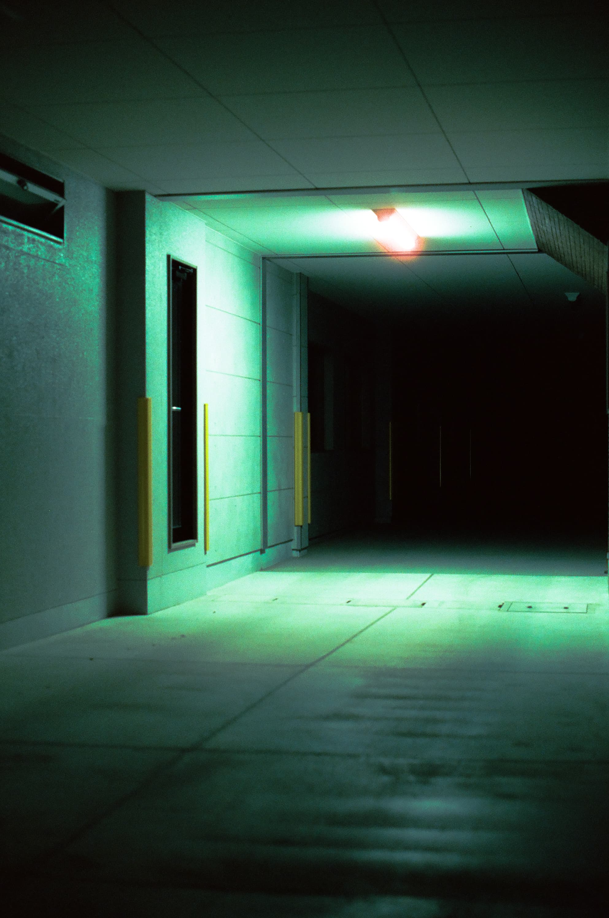Cinestill 800T / Canon A-1