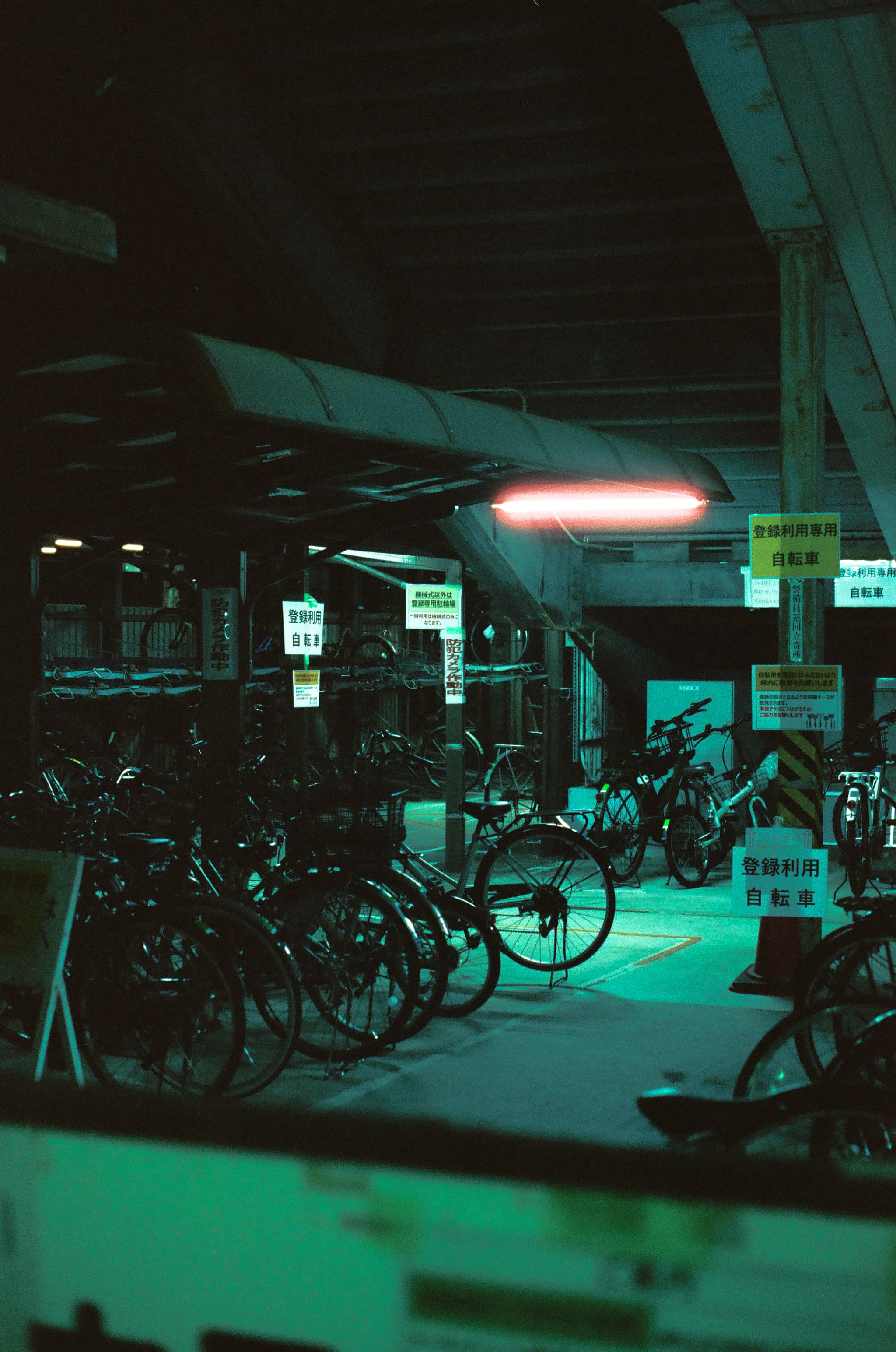 Cinestill 800T / Canon A-1