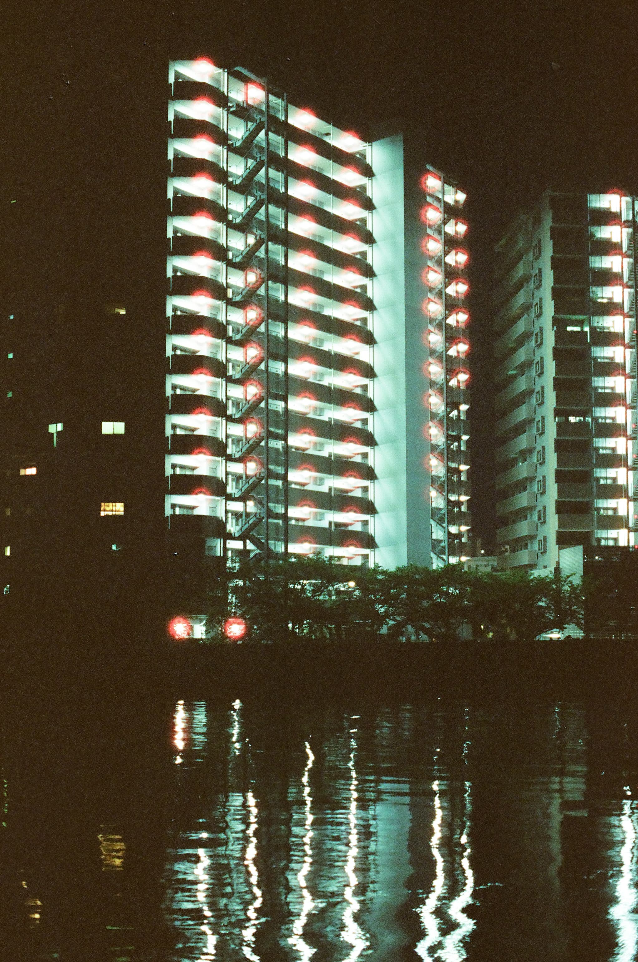Cinestill 800T / Canon A-1
