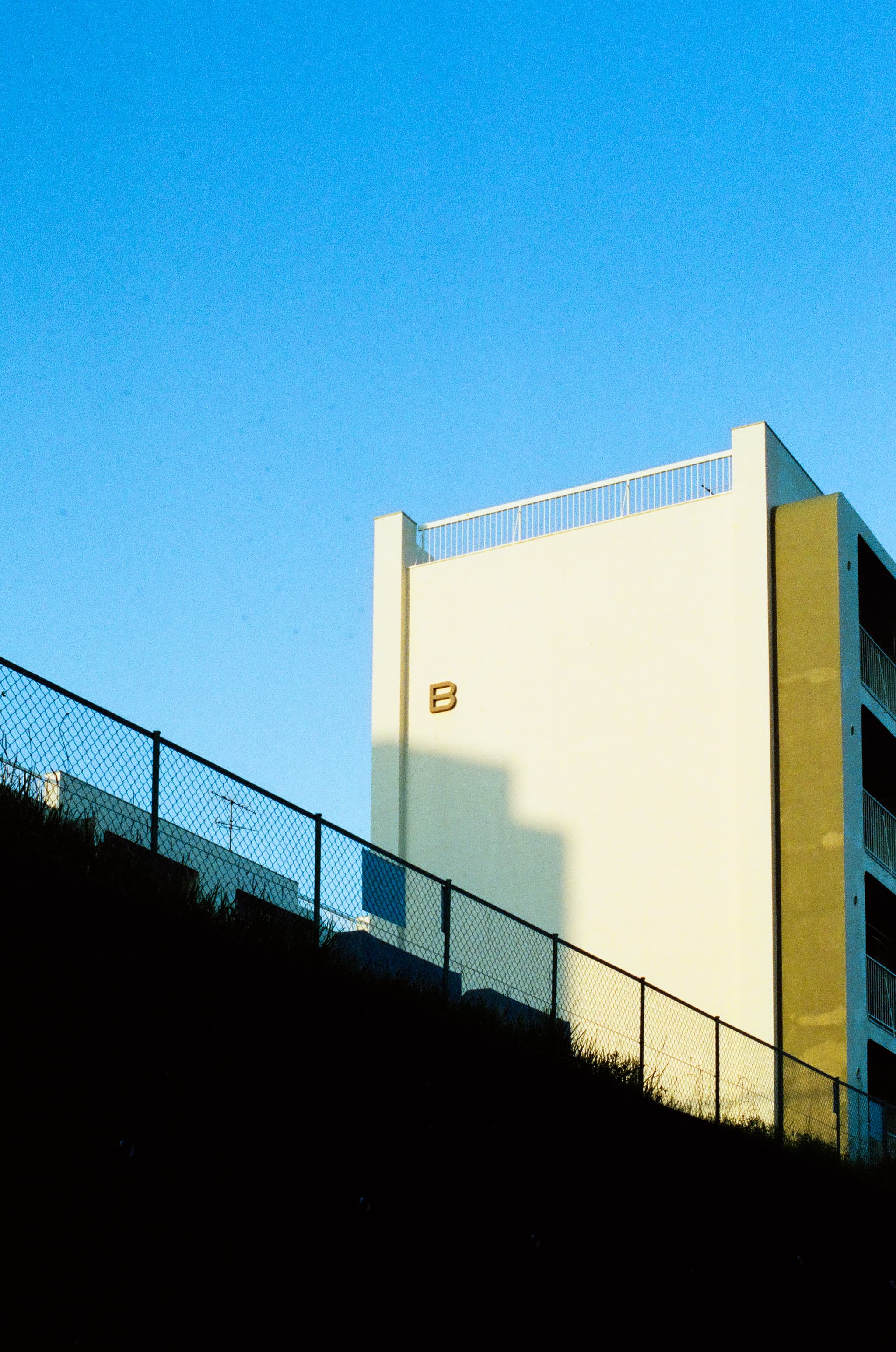Cinestill 800T / Canon A-1