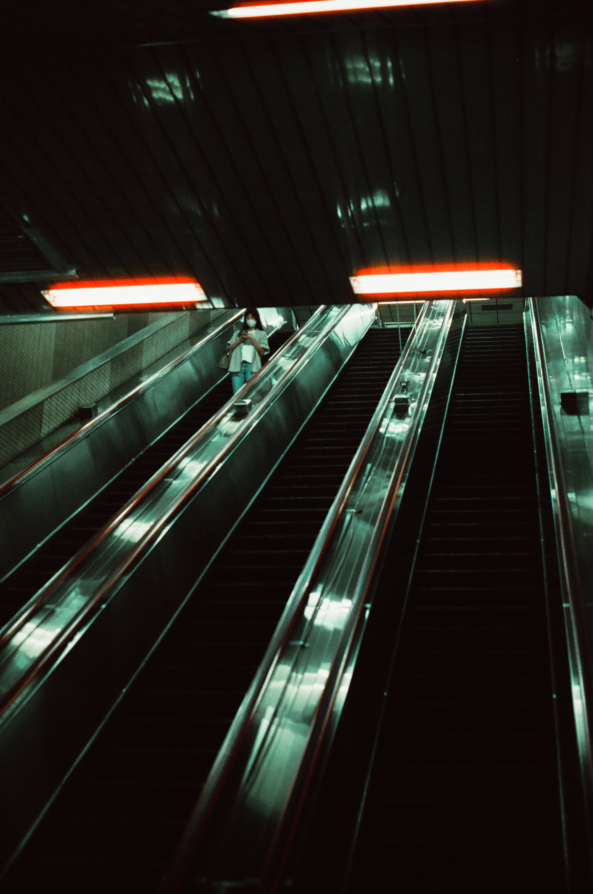 Cinestill 800T / Canon A-1