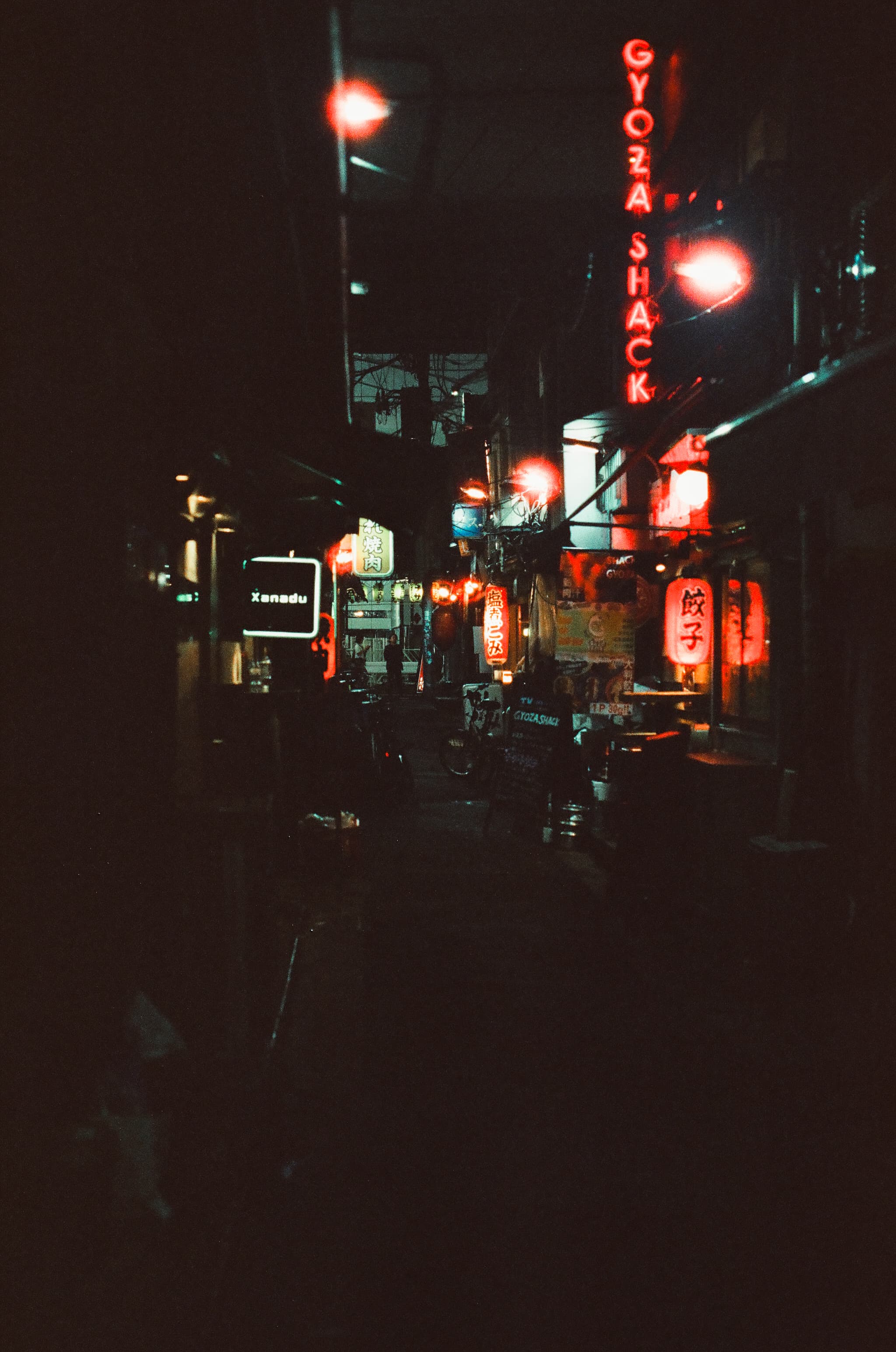 Cinestill 800T / Canon A-1