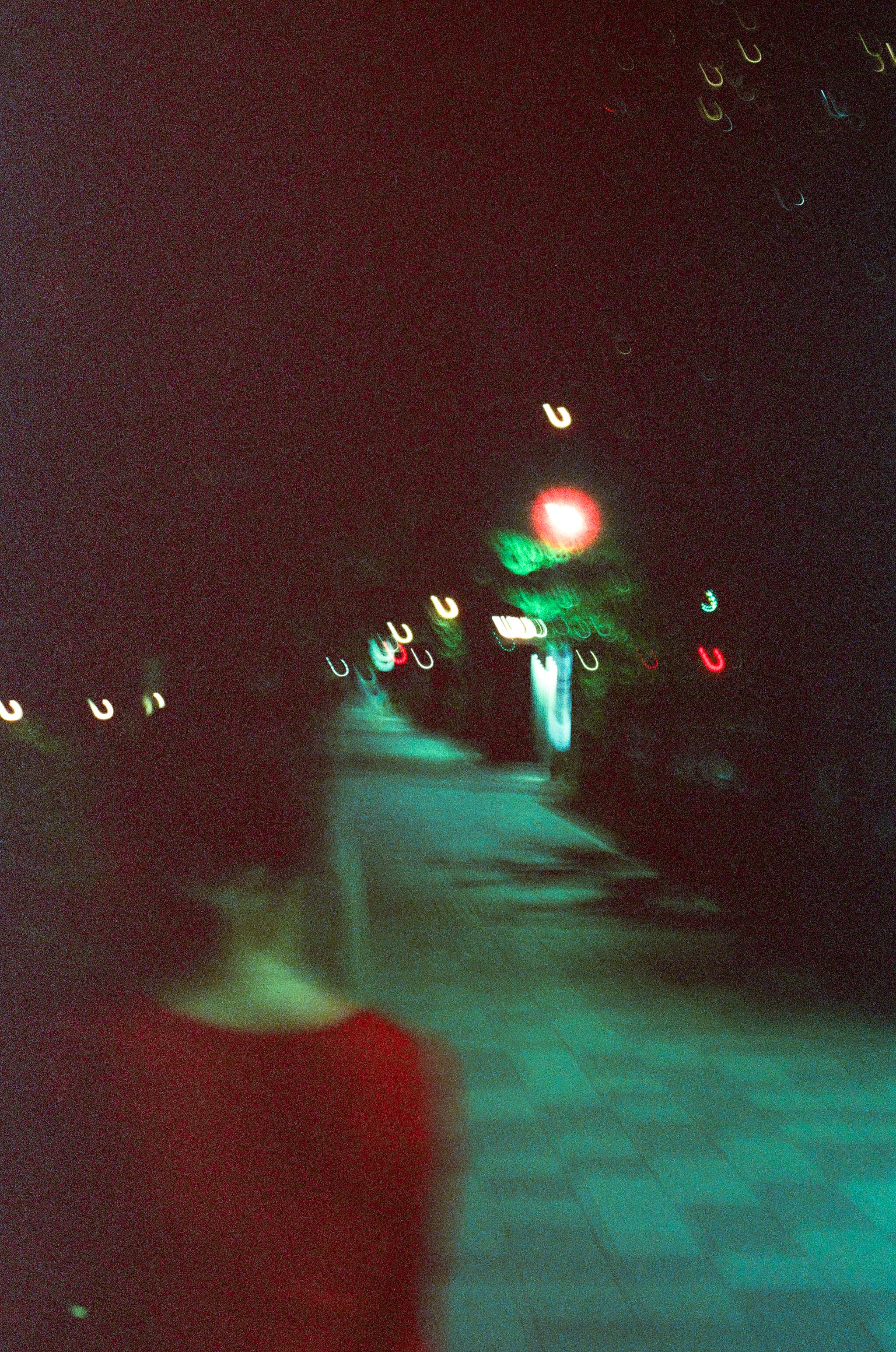 FilmNeverDie UMI 800 / Canon A-1