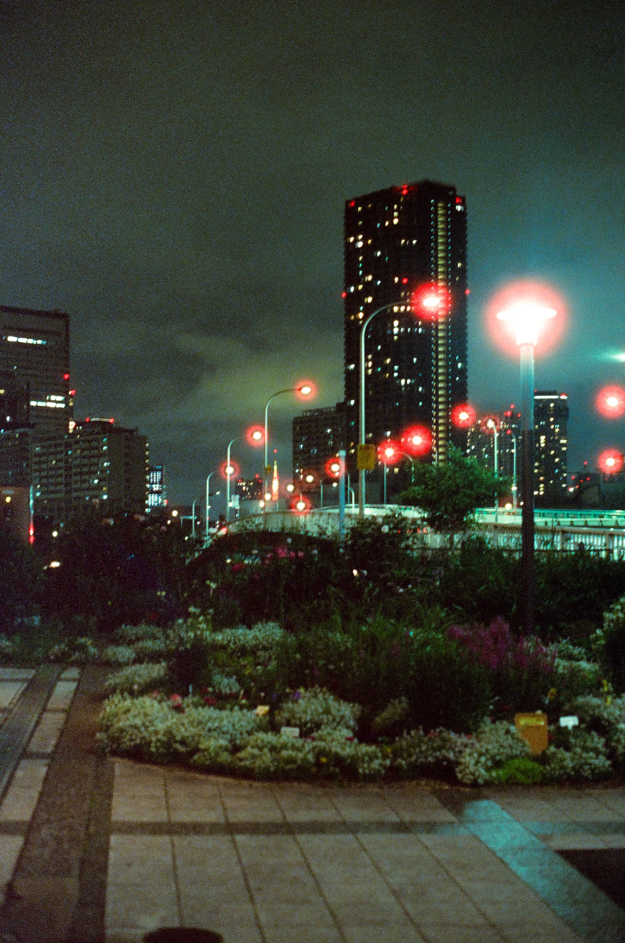 FilmNeverDie UMI 800 / Canon A-1