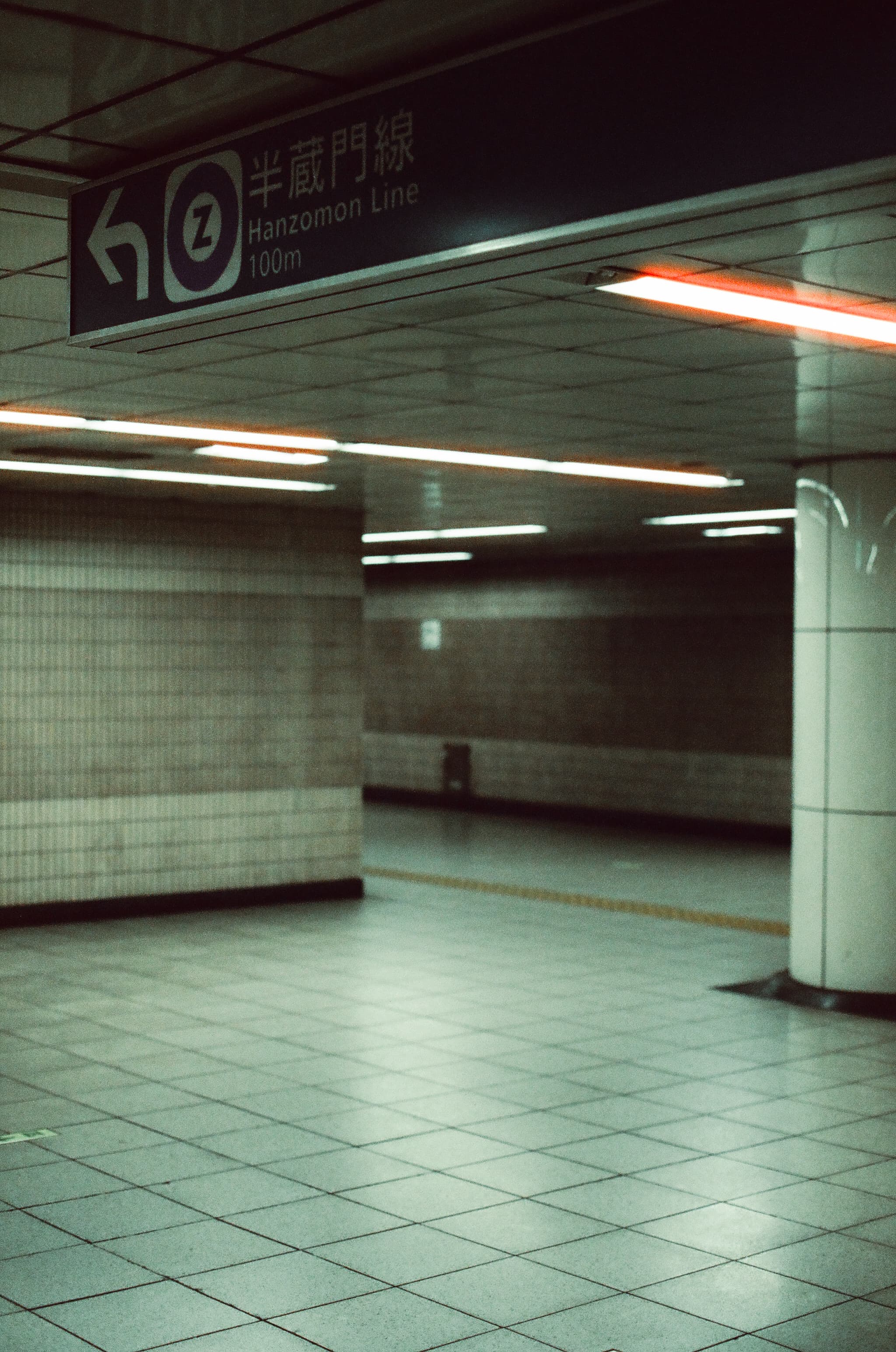 Cinestill 800T / Canon A-1