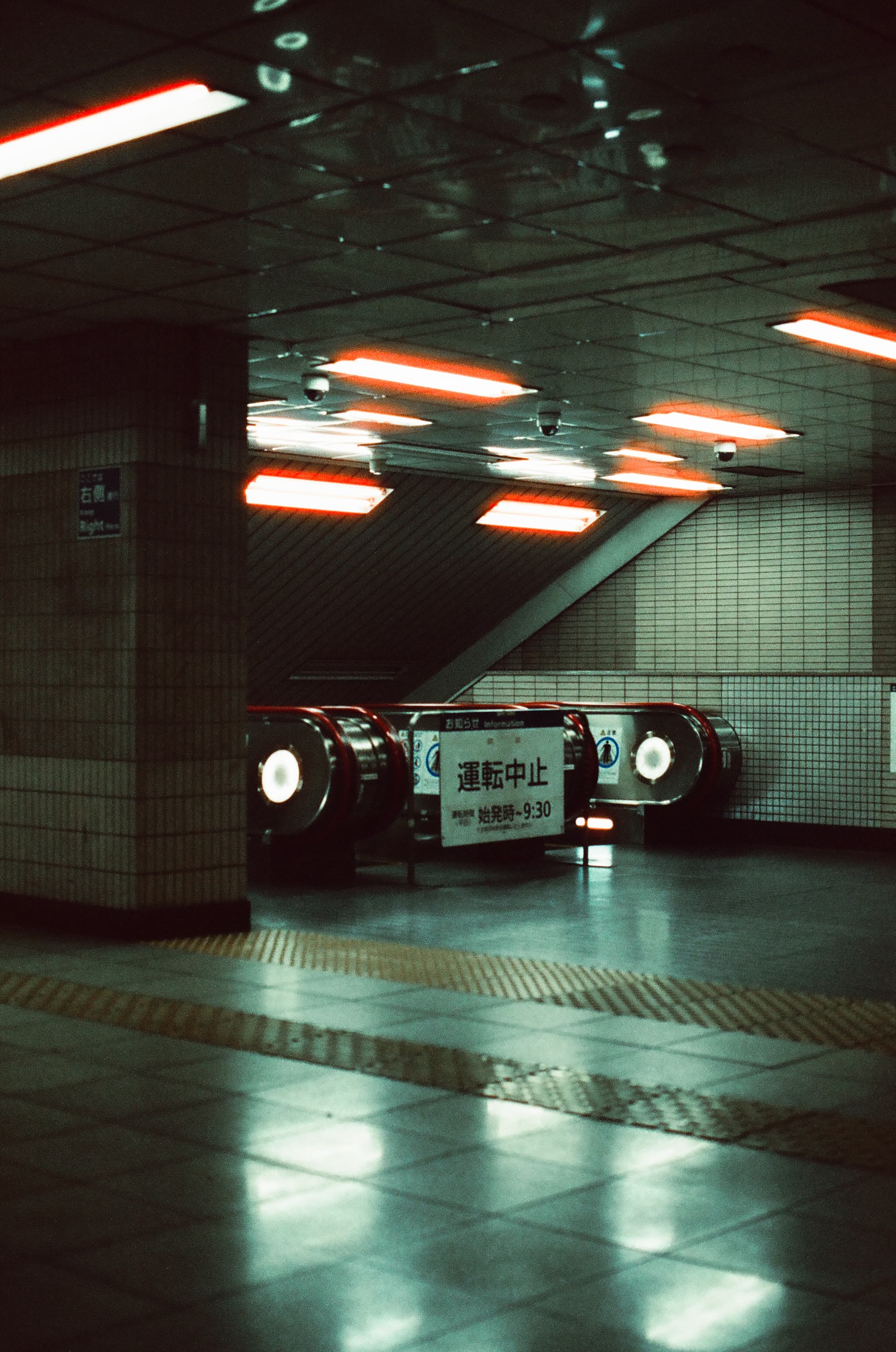 Cinestill 800T / Canon A-1