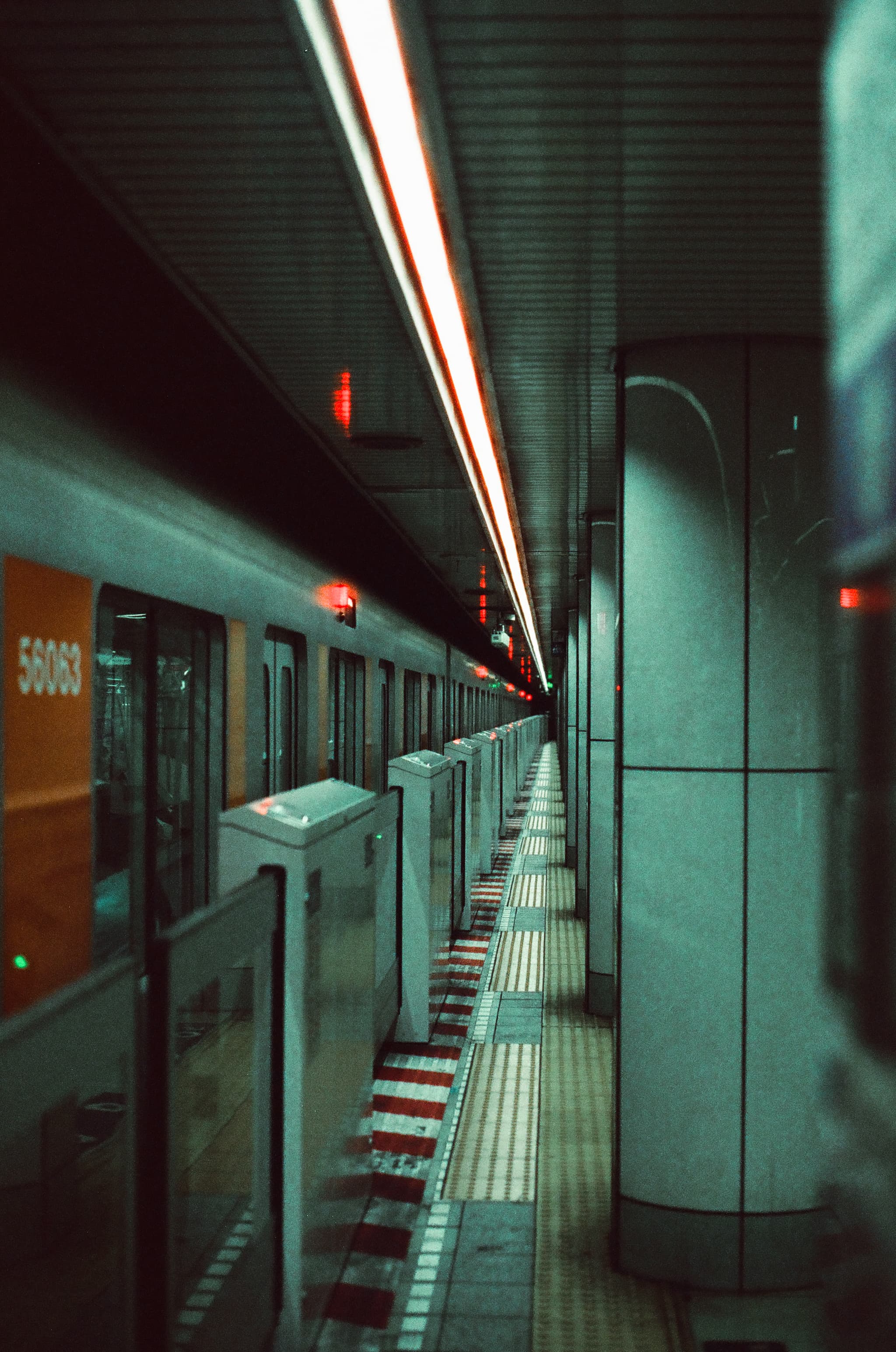 Cinestill 800T / Canon A-1