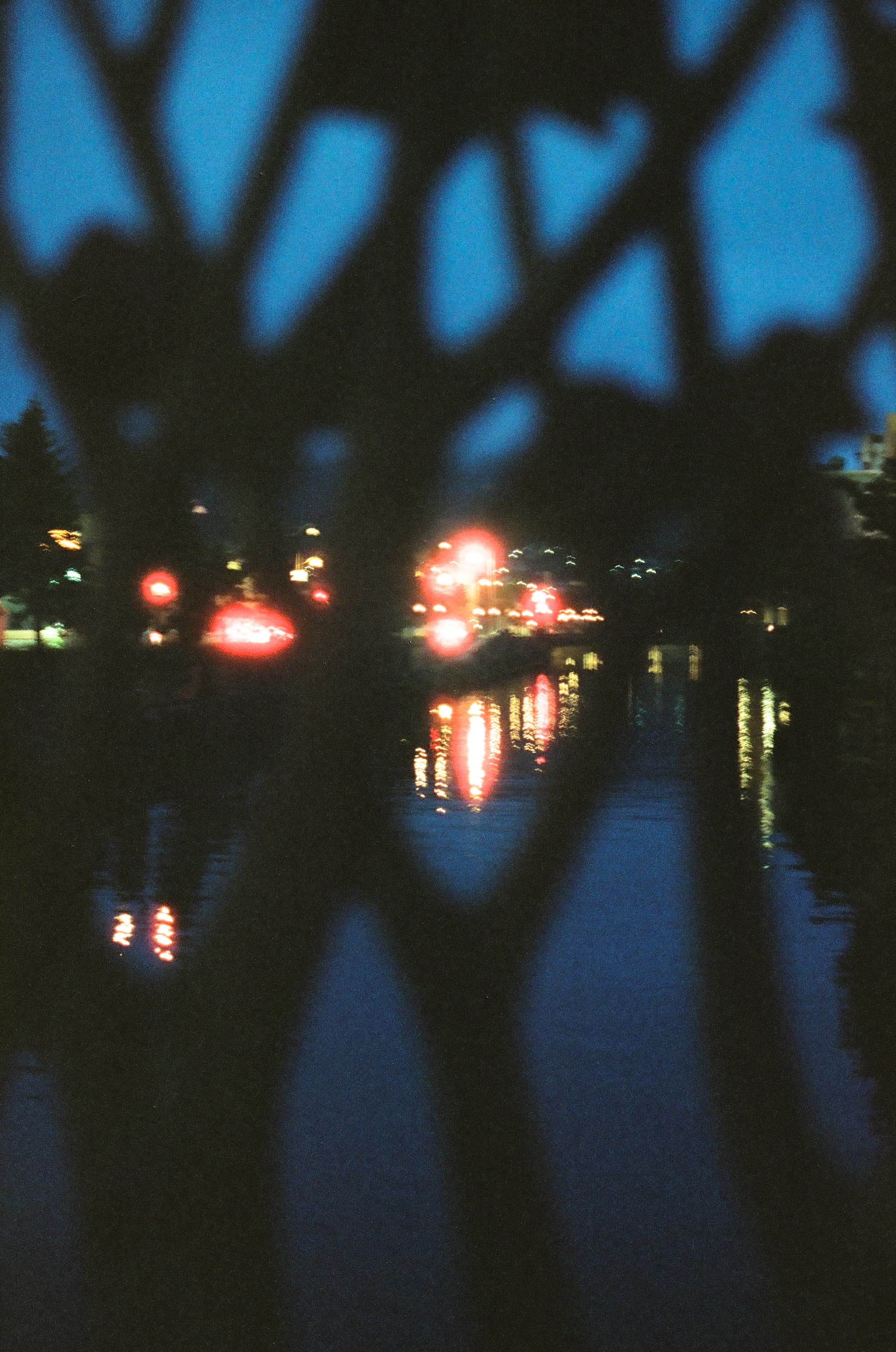 Cinestill 800T / Canon A-1