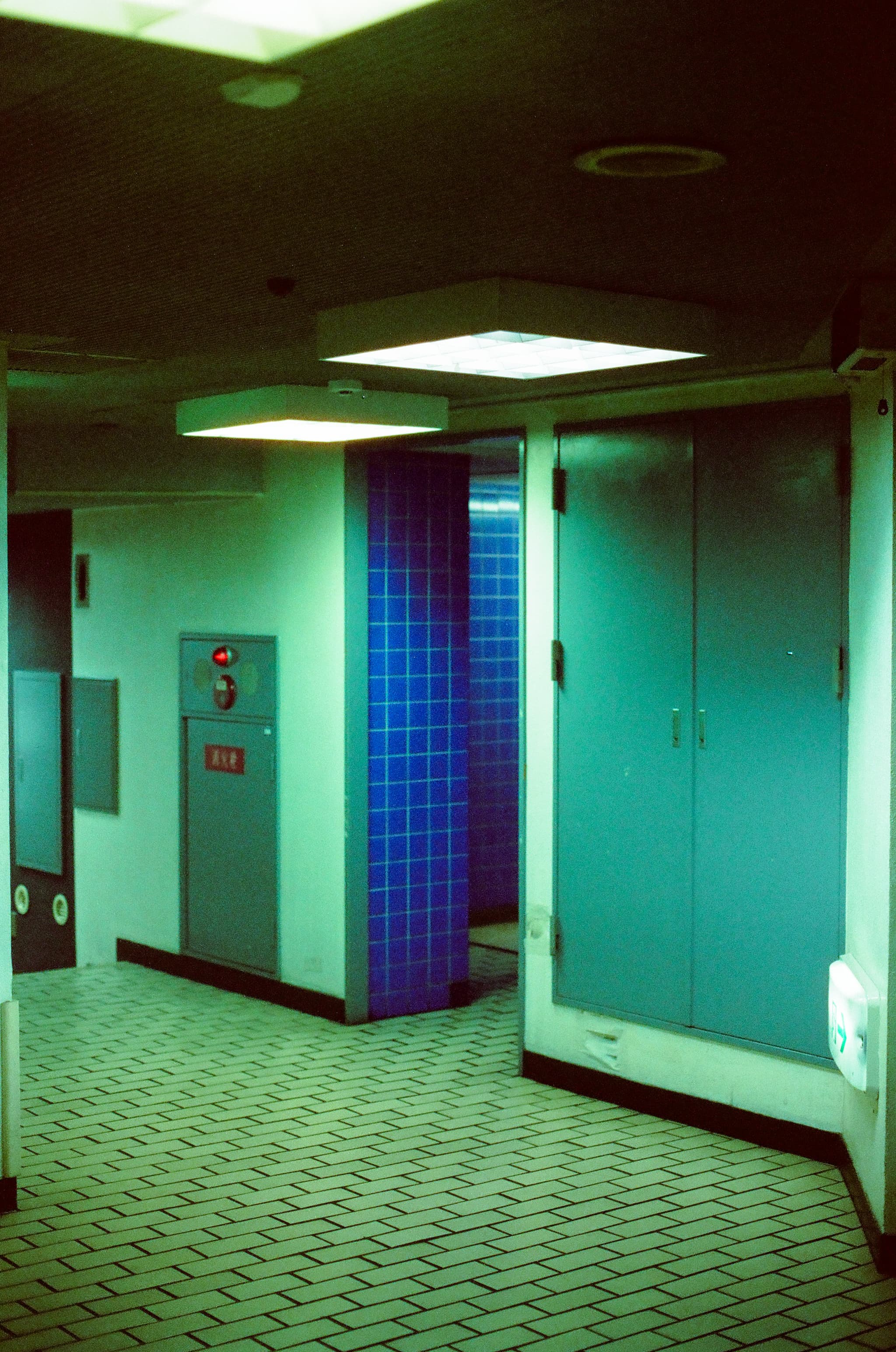 Cinestill 800T / Canon A-1