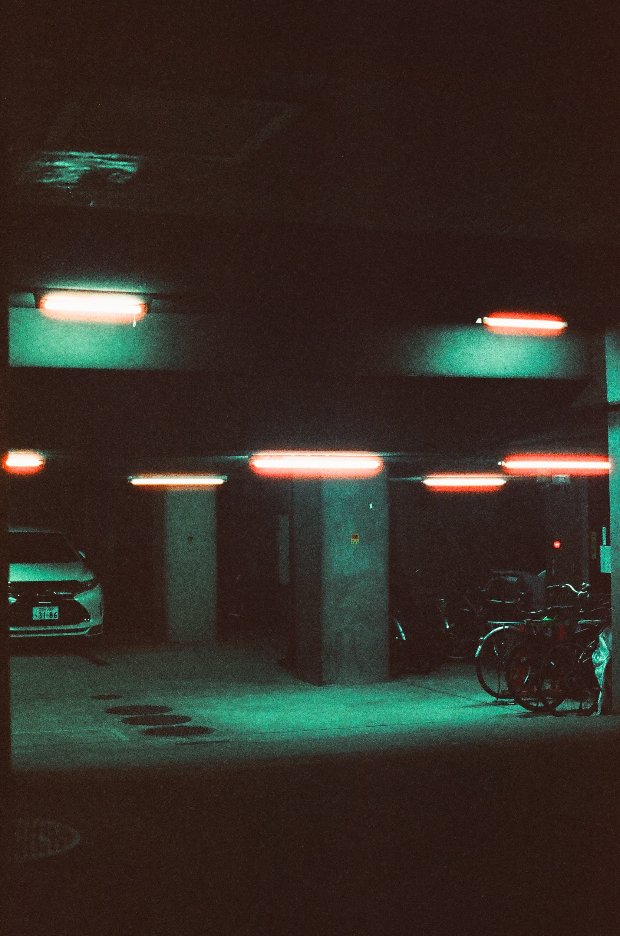 Cinestill 800T / Canon A-1