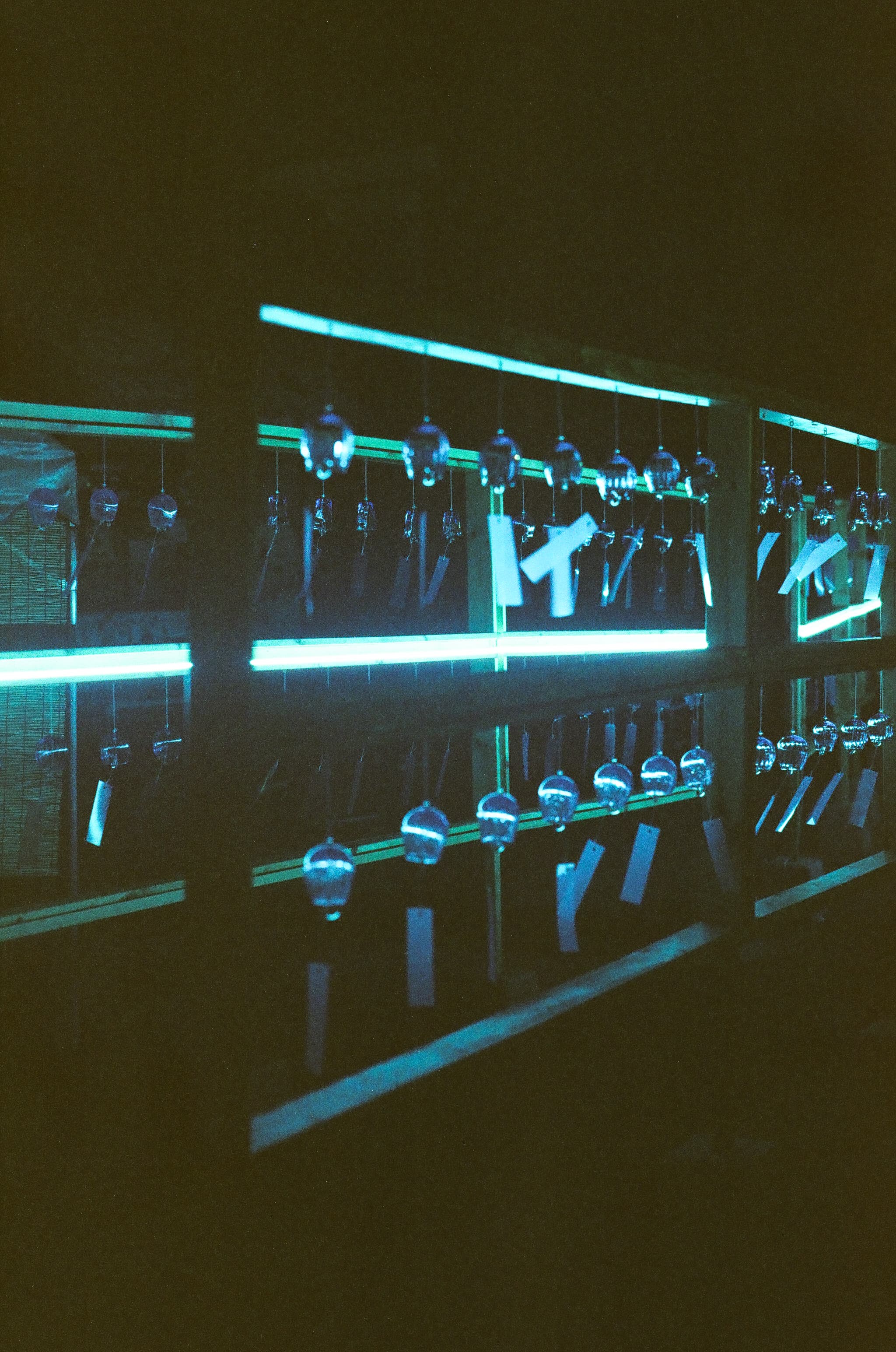 Cinestill 800T / Canon A-1