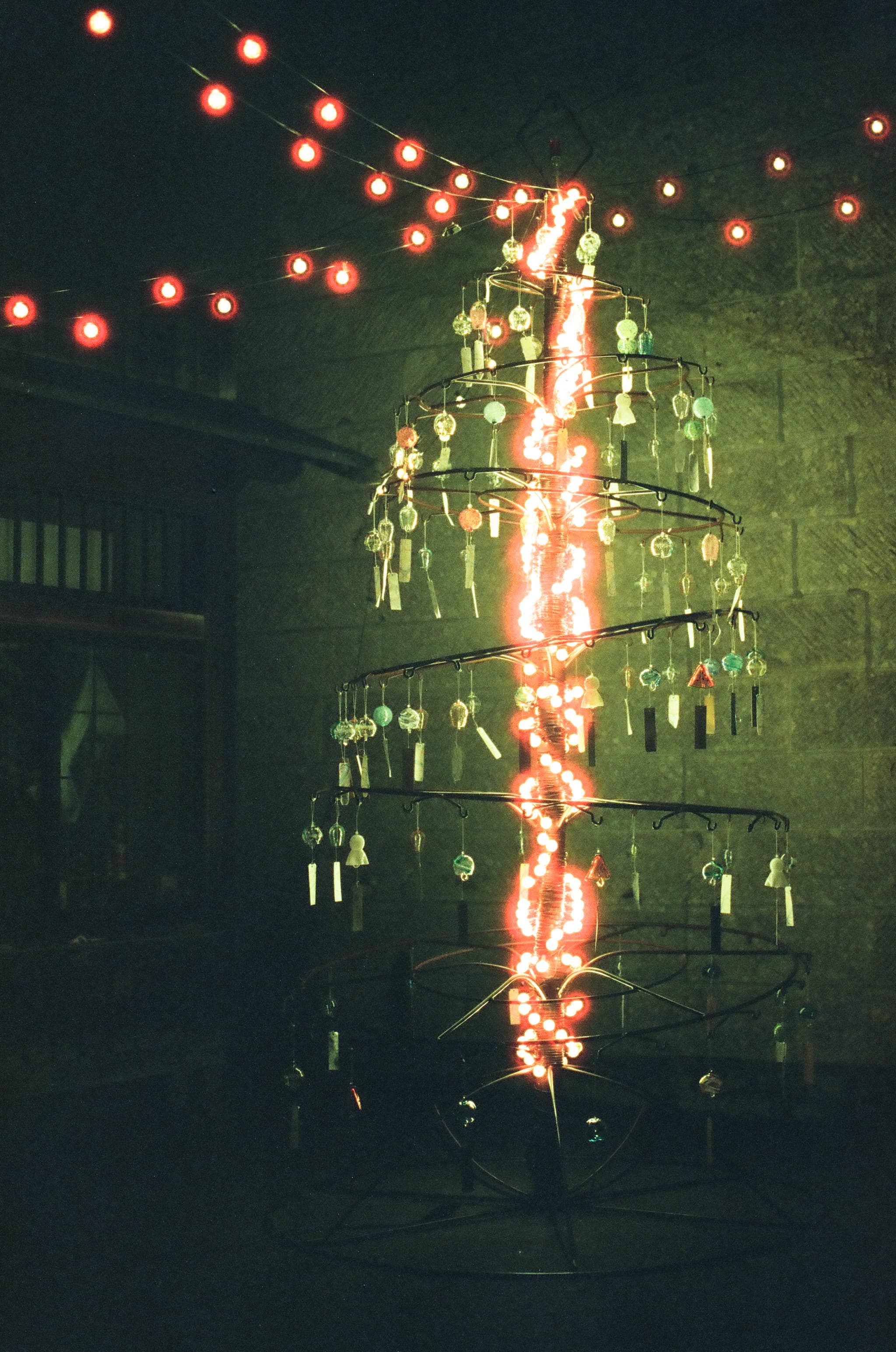 Cinestill 800T / Canon A-1